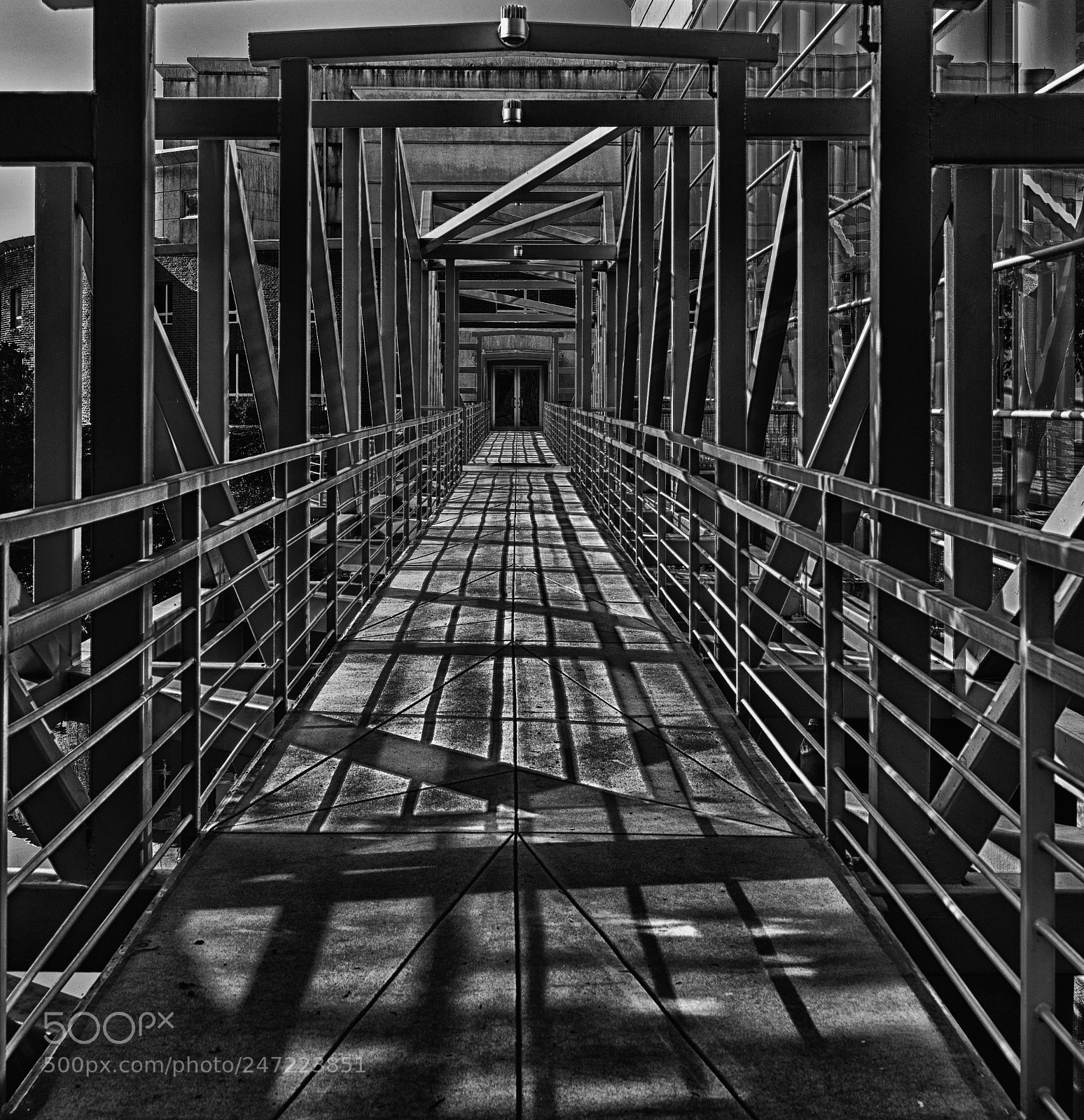 Nikon D800 sample photo. Lines photography