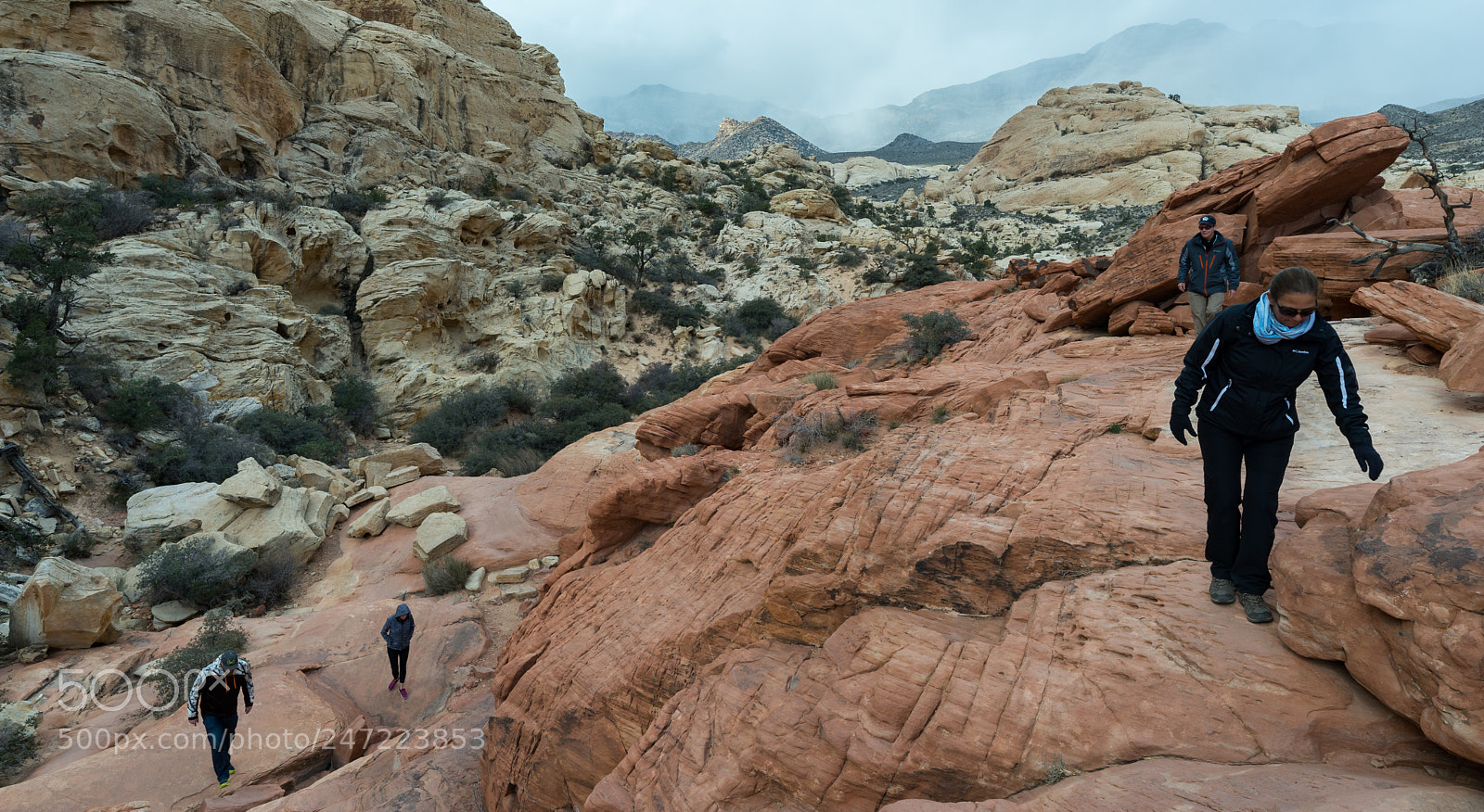 Sony a7 sample photo. Watch your step... photography
