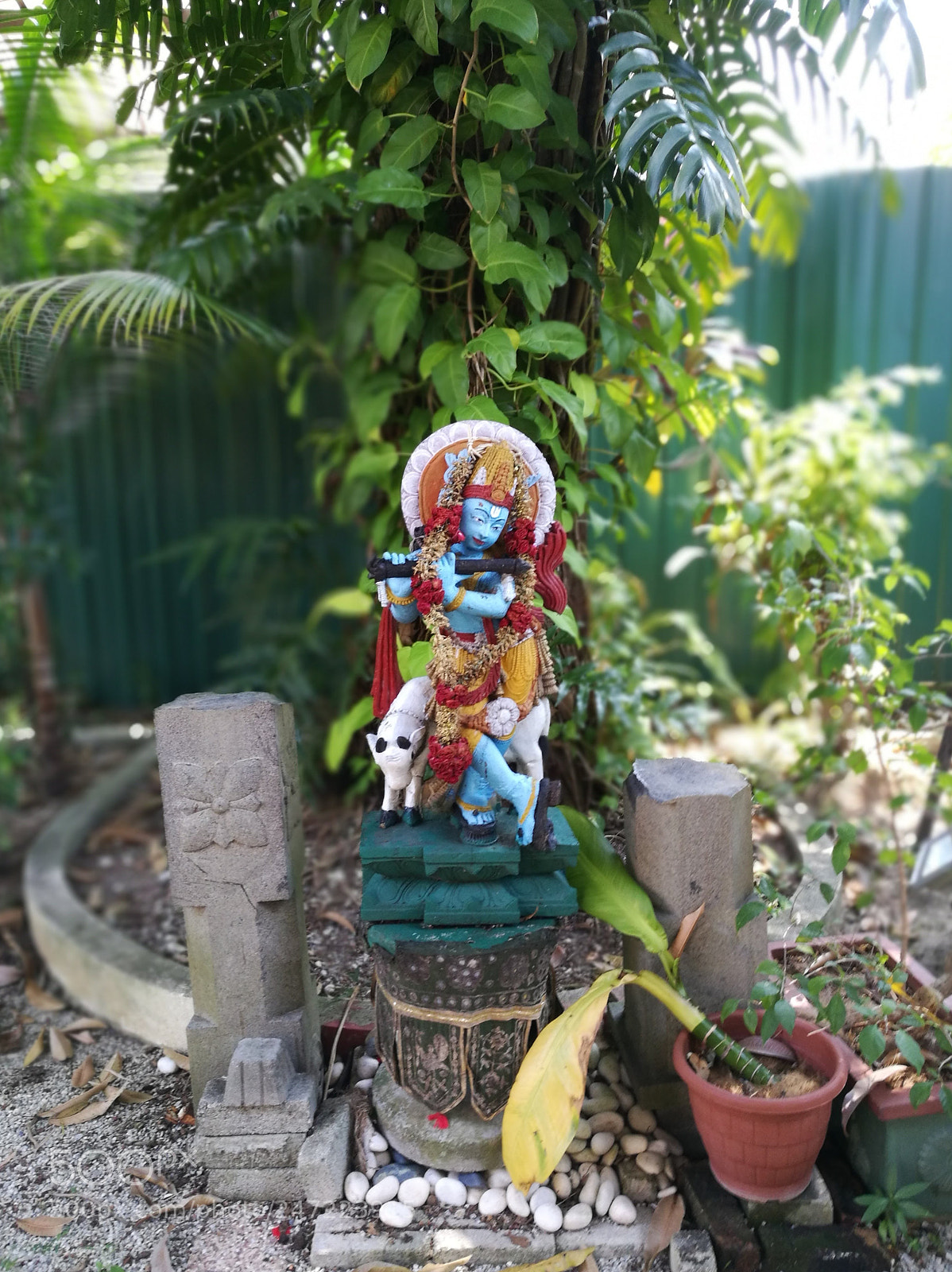 HUAWEI Honor 8 sample photo. Untitled photography