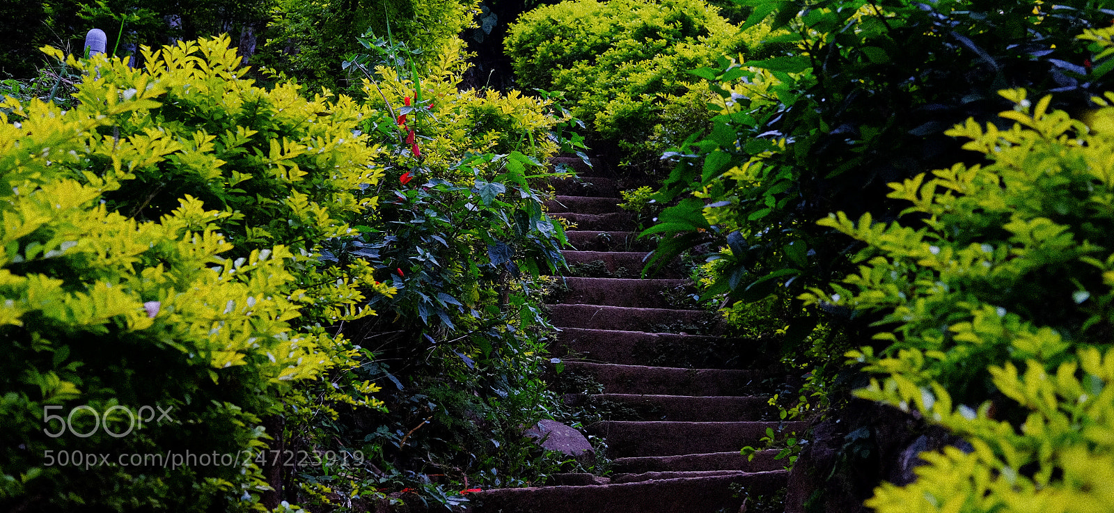 Fujifilm X-T1 sample photo. At the garden photography