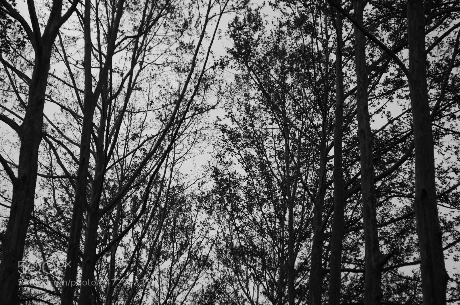 Nikon D3200 sample photo. Briones photography