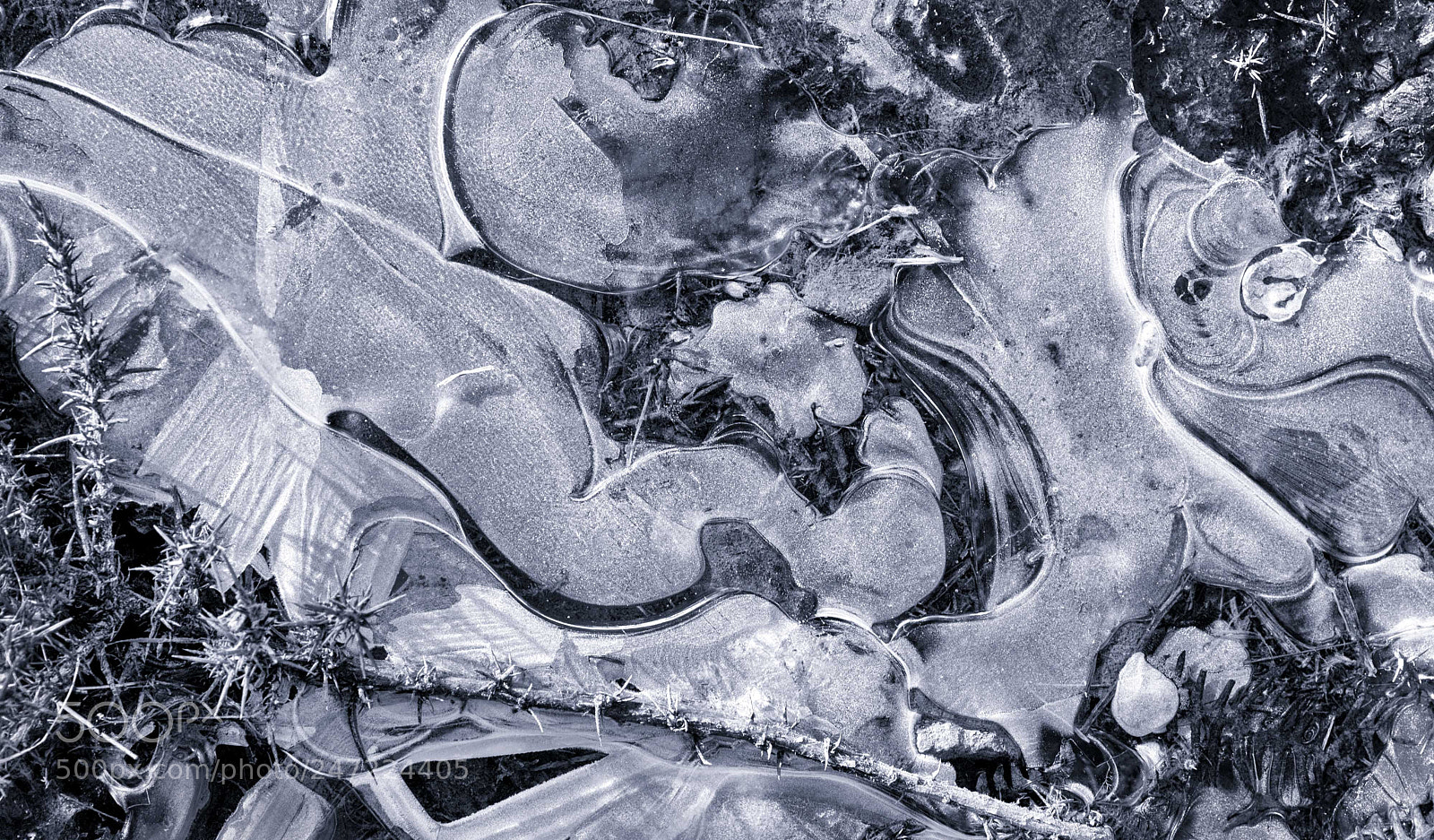 Nikon D7200 sample photo. Ice swirls photography
