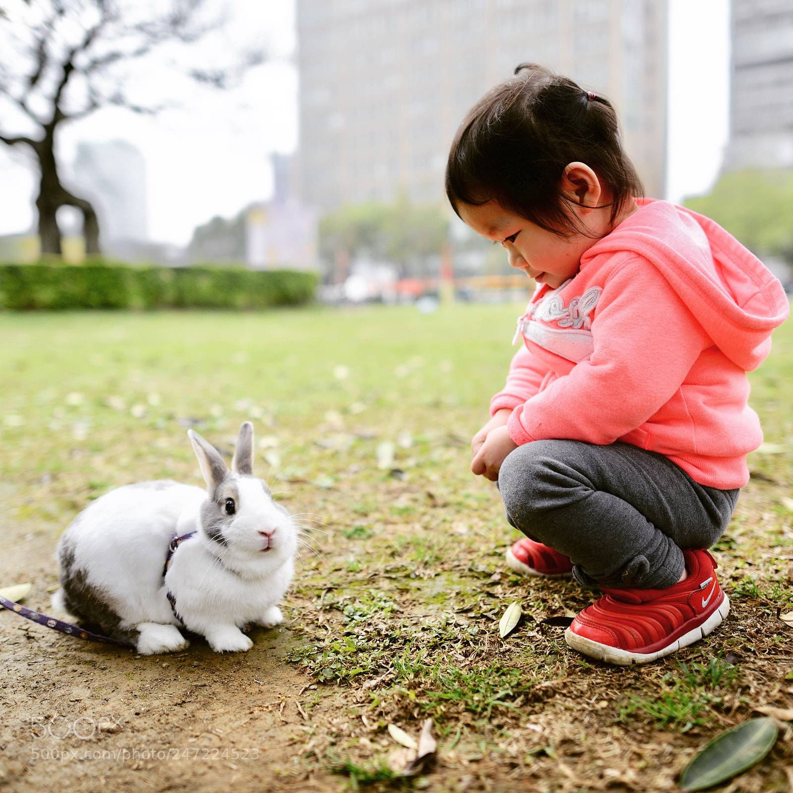 Nikon D800 sample photo. Untitled photography
