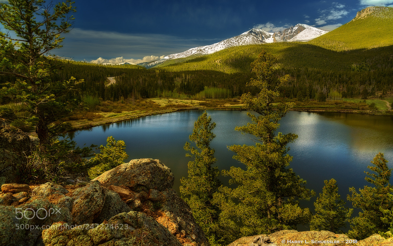 Nikon D800E sample photo. Lily lake - rocky photography