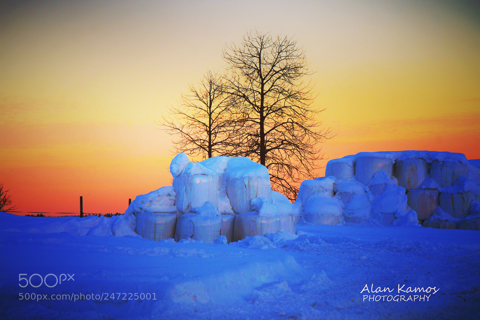 Nikon D5200 sample photo. Untitled photography