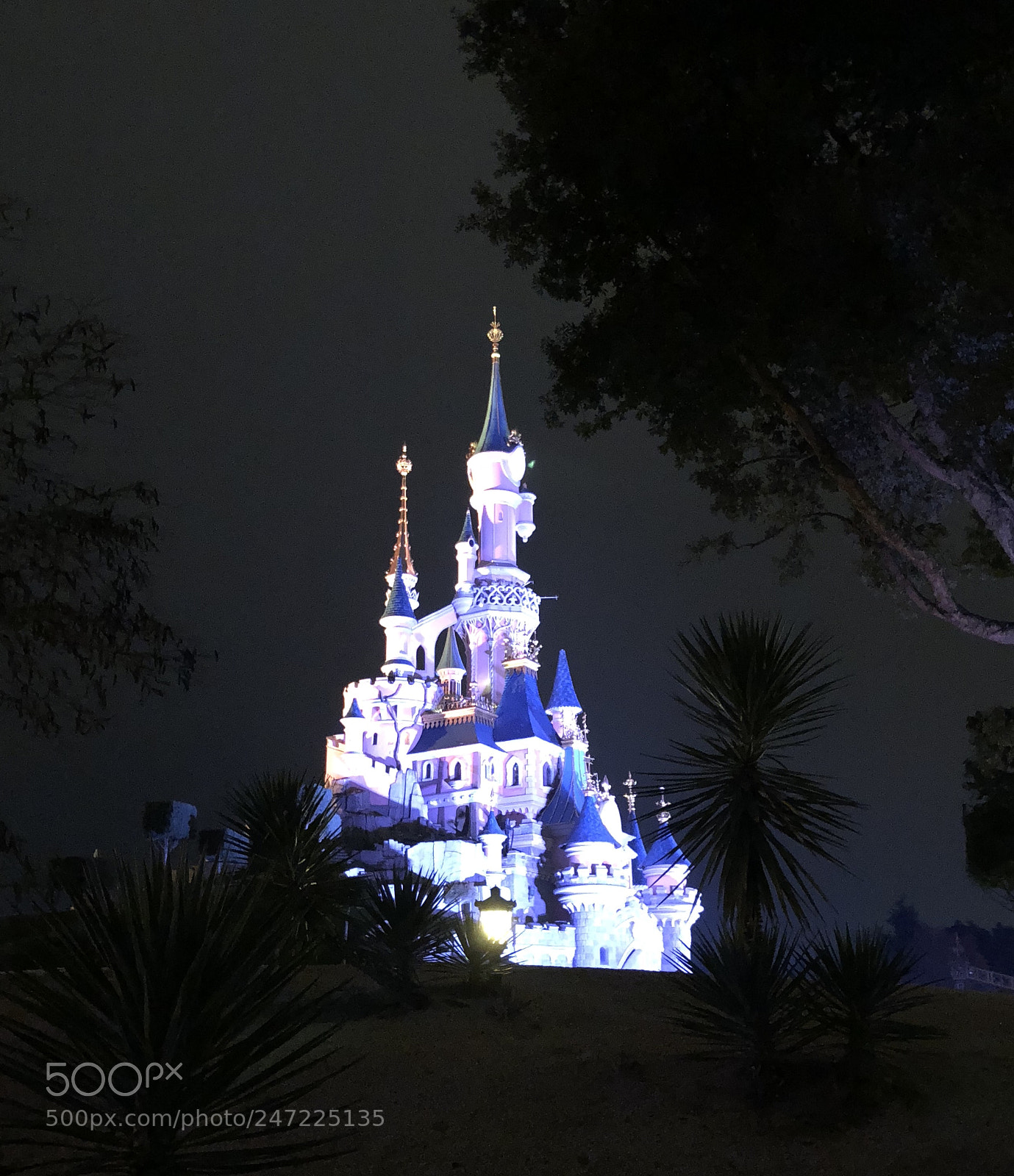 Apple iPhone 8 sample photo. Et la lumi re photography