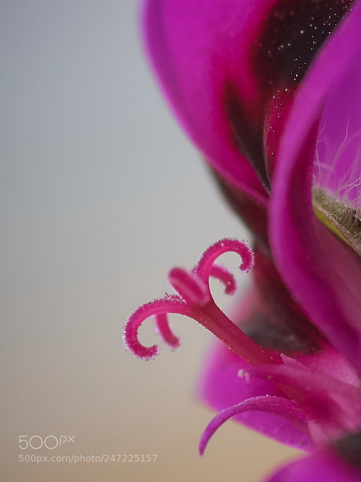 Sony ILCA-77M2 sample photo. Stempel photography