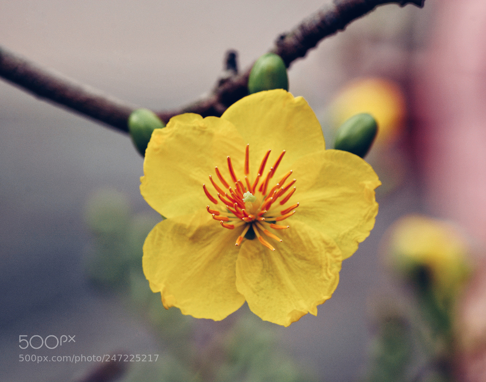 Nikon D7100 sample photo. Untitled photography