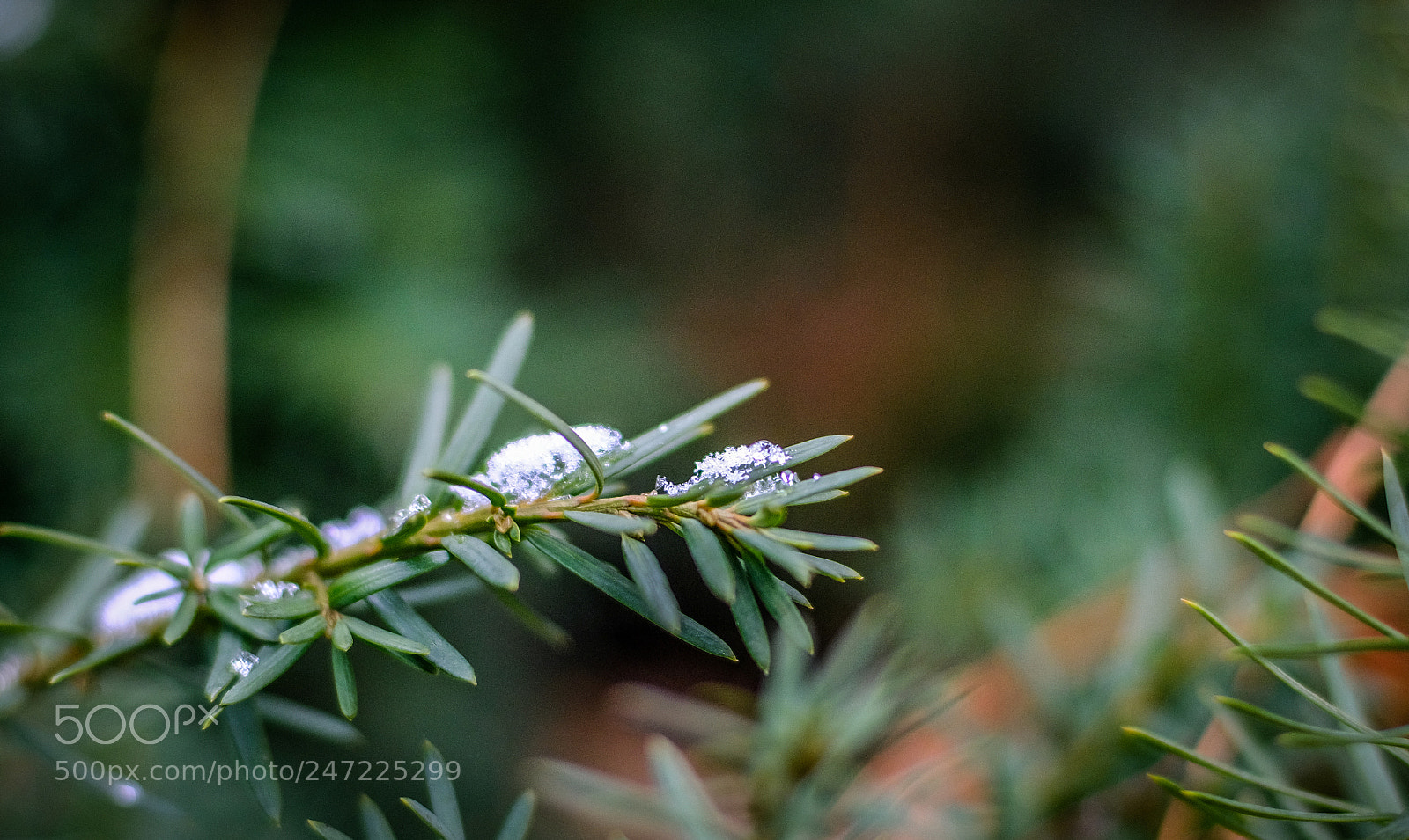 Fujifilm X-T20 sample photo. Snowfall photography