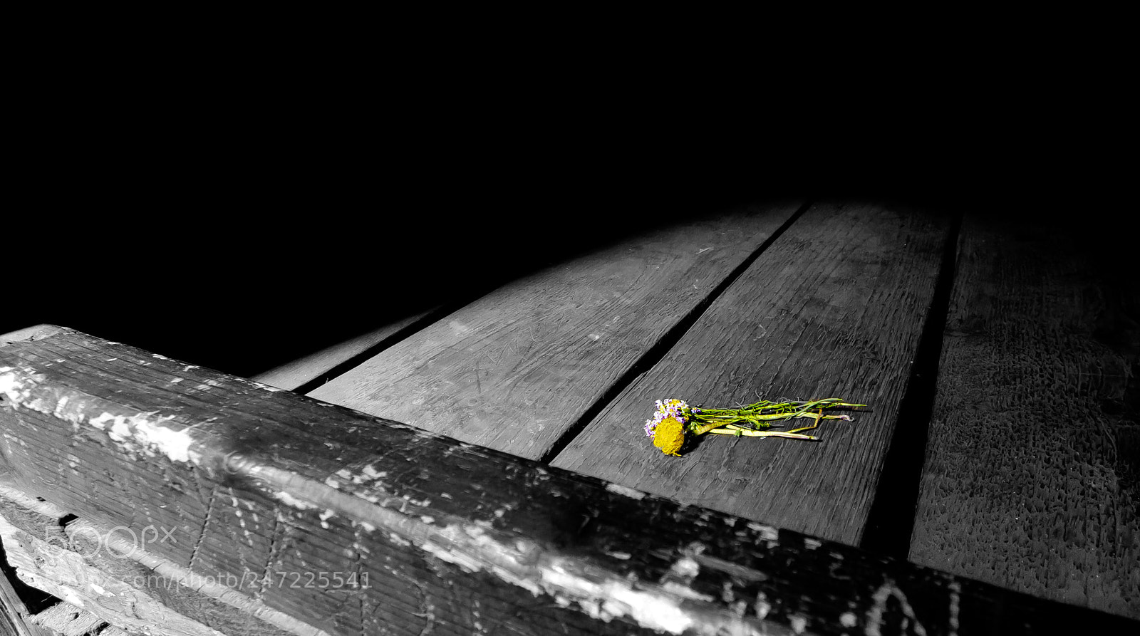 Canon EOS 50D sample photo. Remembering photography
