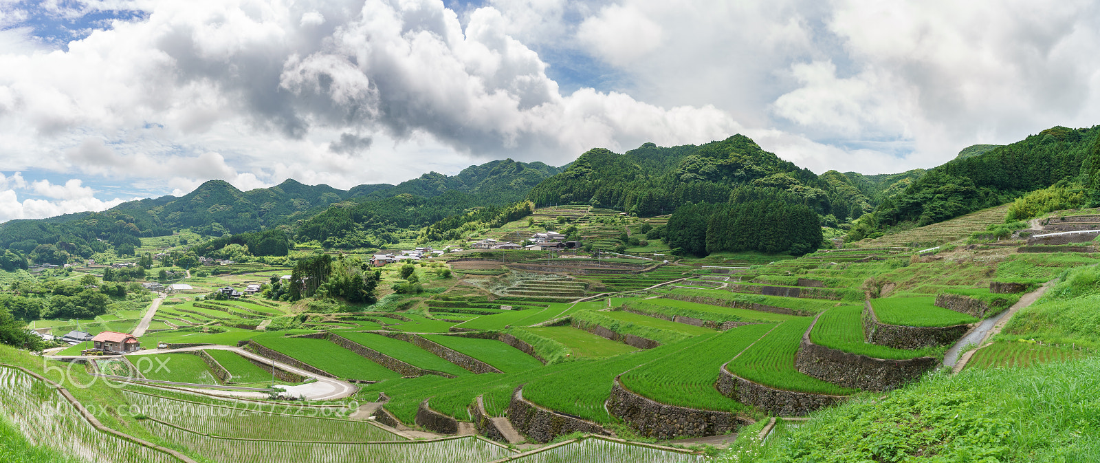 Sony a7 II sample photo. Rice field valley photography