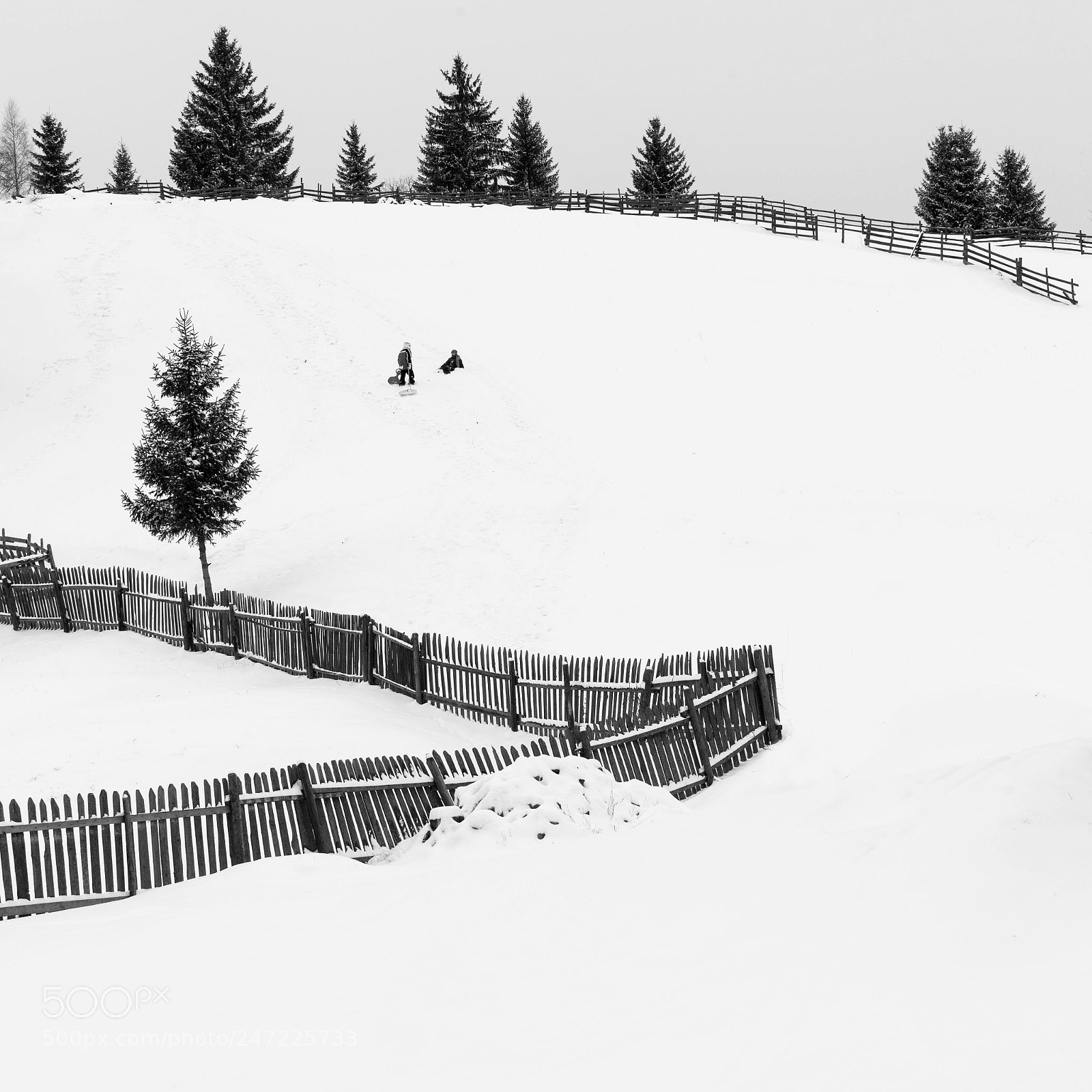 Nikon D810 sample photo. Winter joy photography