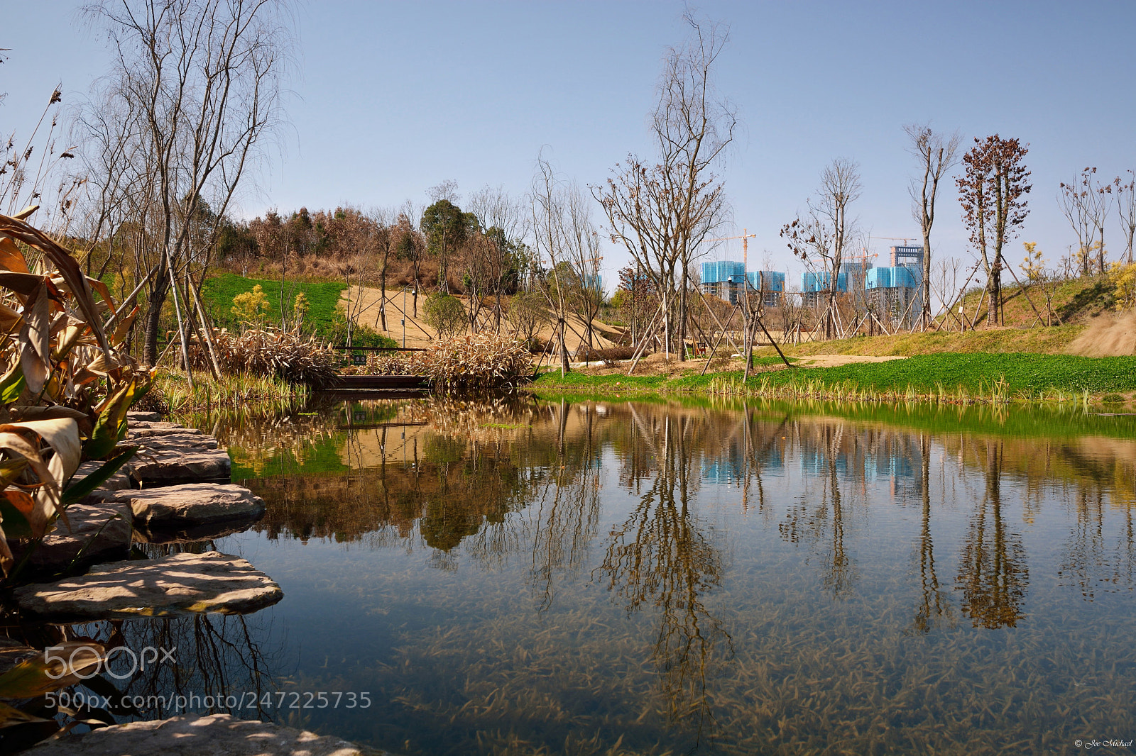 Nikon D7100 sample photo. Luxihe park 01 photography
