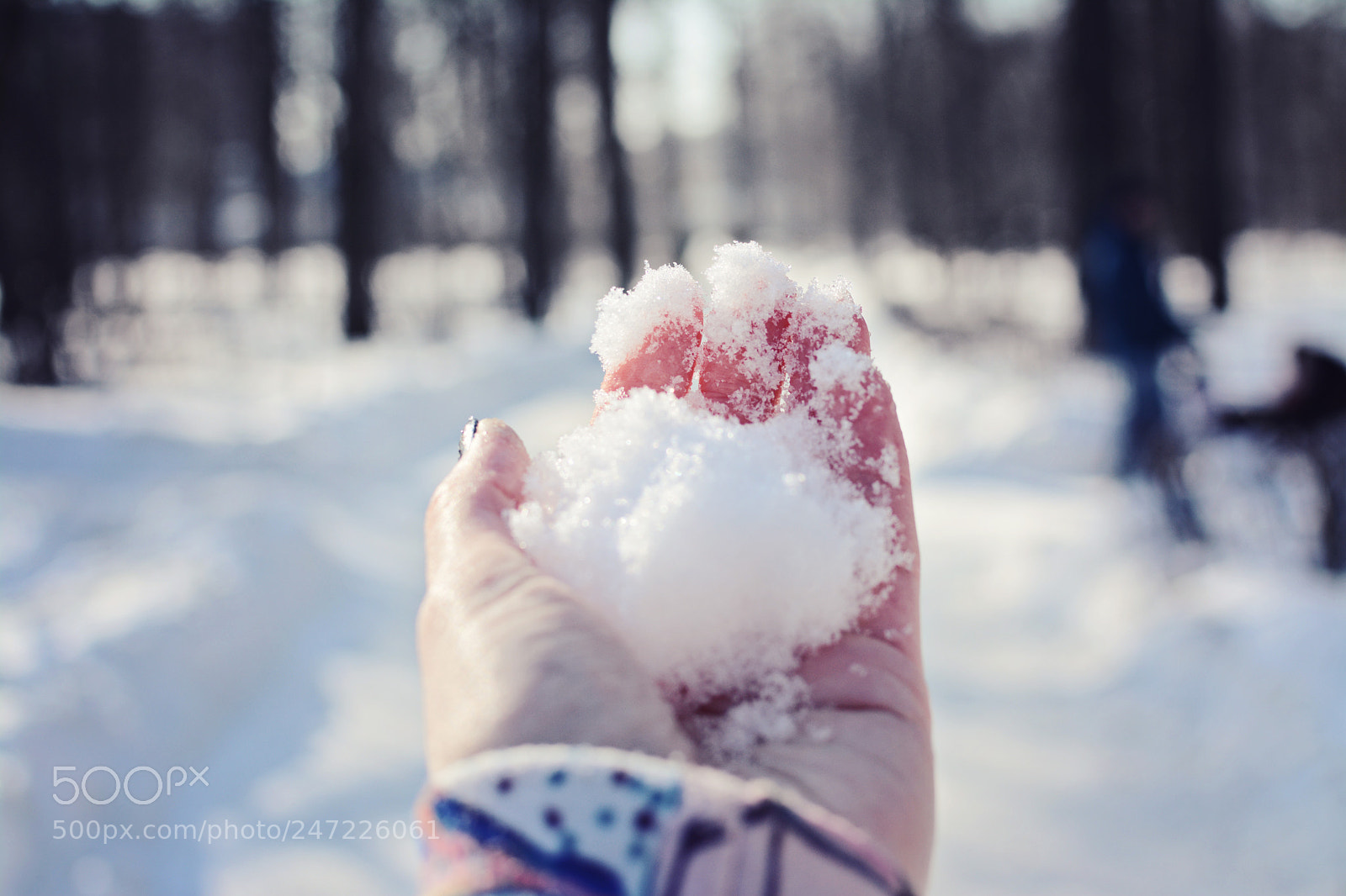 Nikon D7100 sample photo. Untitled photography