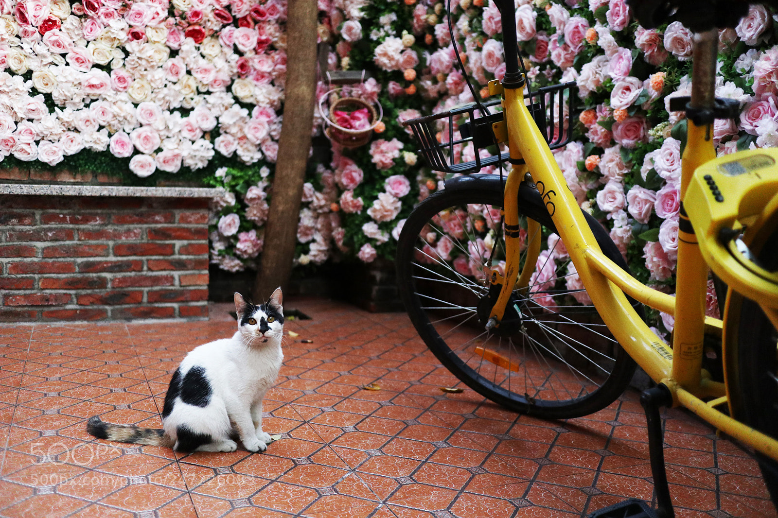 Canon EOS M6 sample photo. Img photography