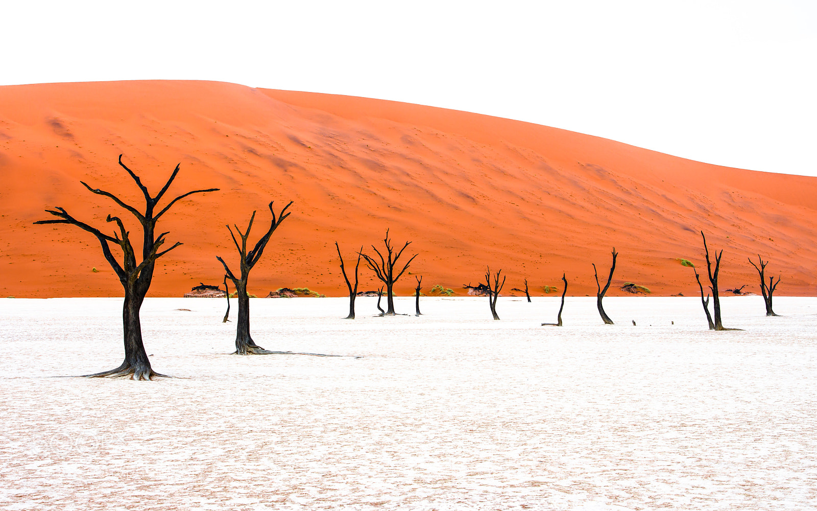 Nikon D810 sample photo. Desert memorial x photography