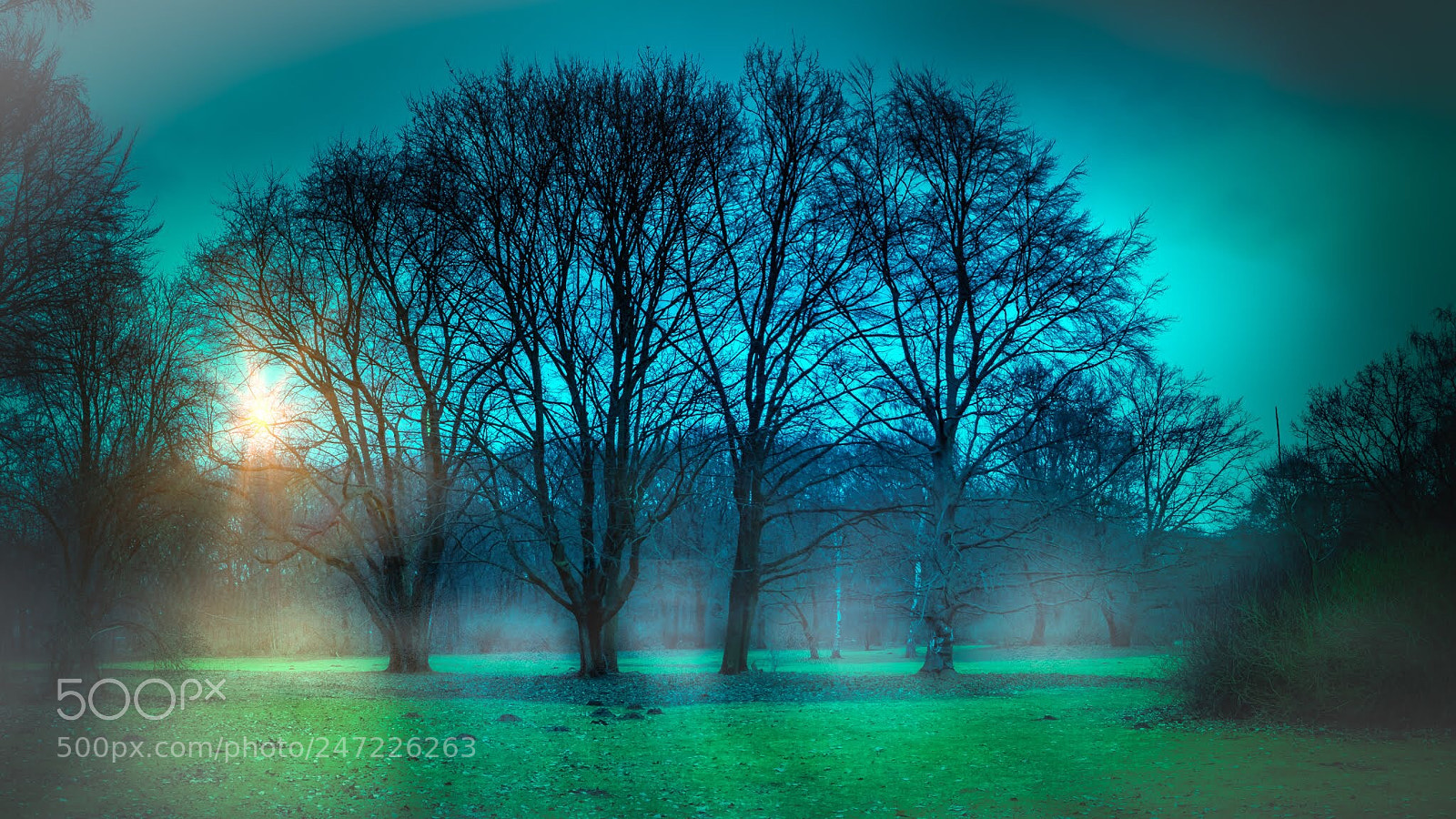 Fujifilm X-T20 sample photo. Trees at tiergarten berlin photography