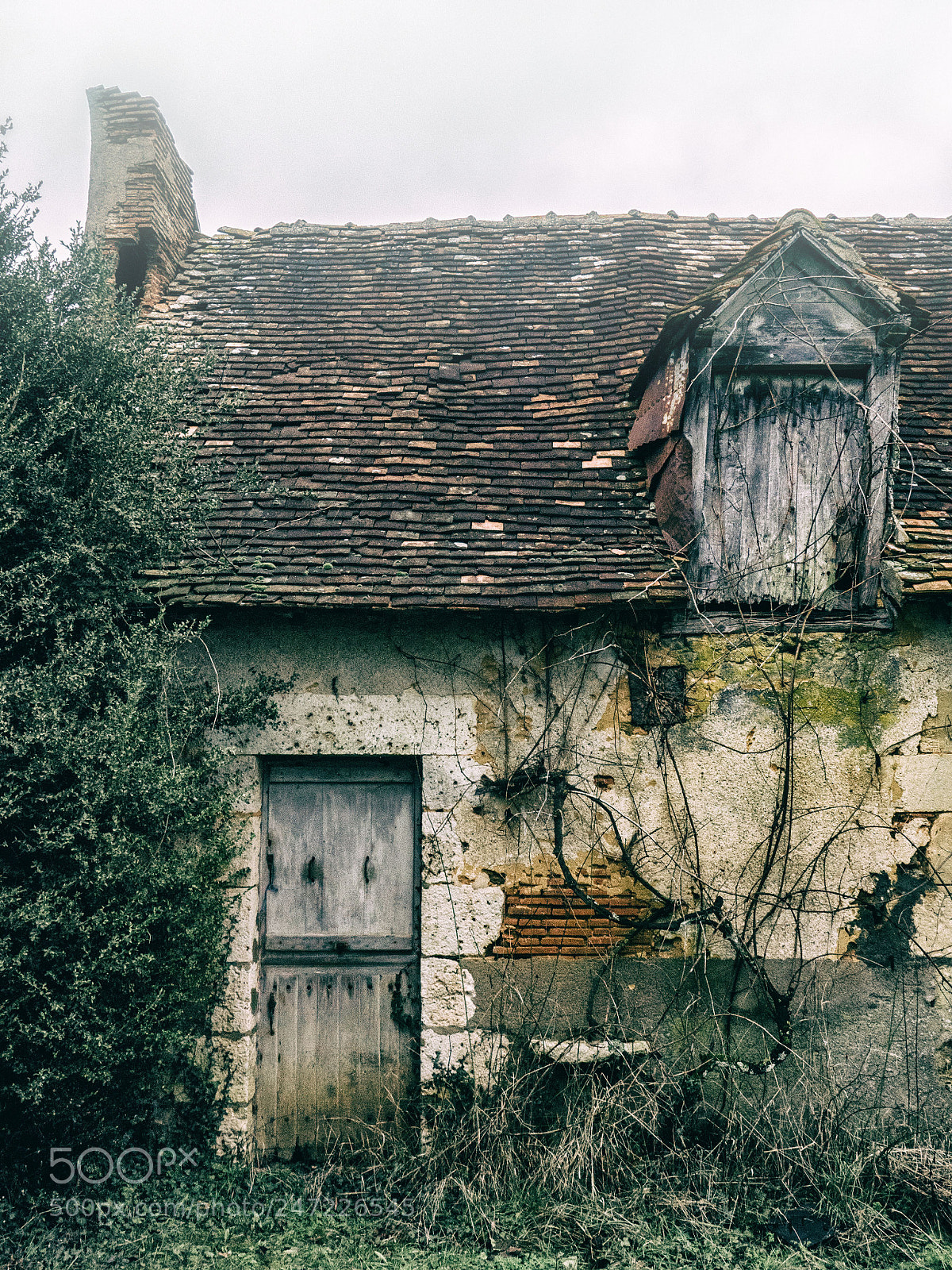 Panasonic Lumix DMC-FZ1000 sample photo. Sweet dereliction photography