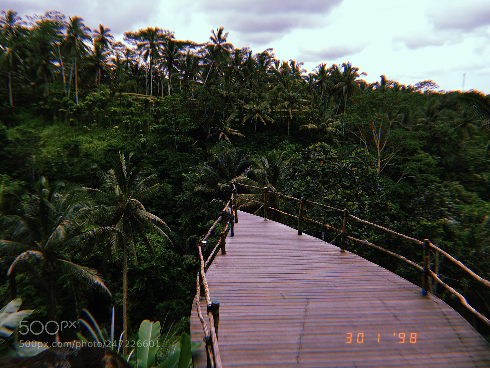 Apple iPhone sample photo. #photo photography