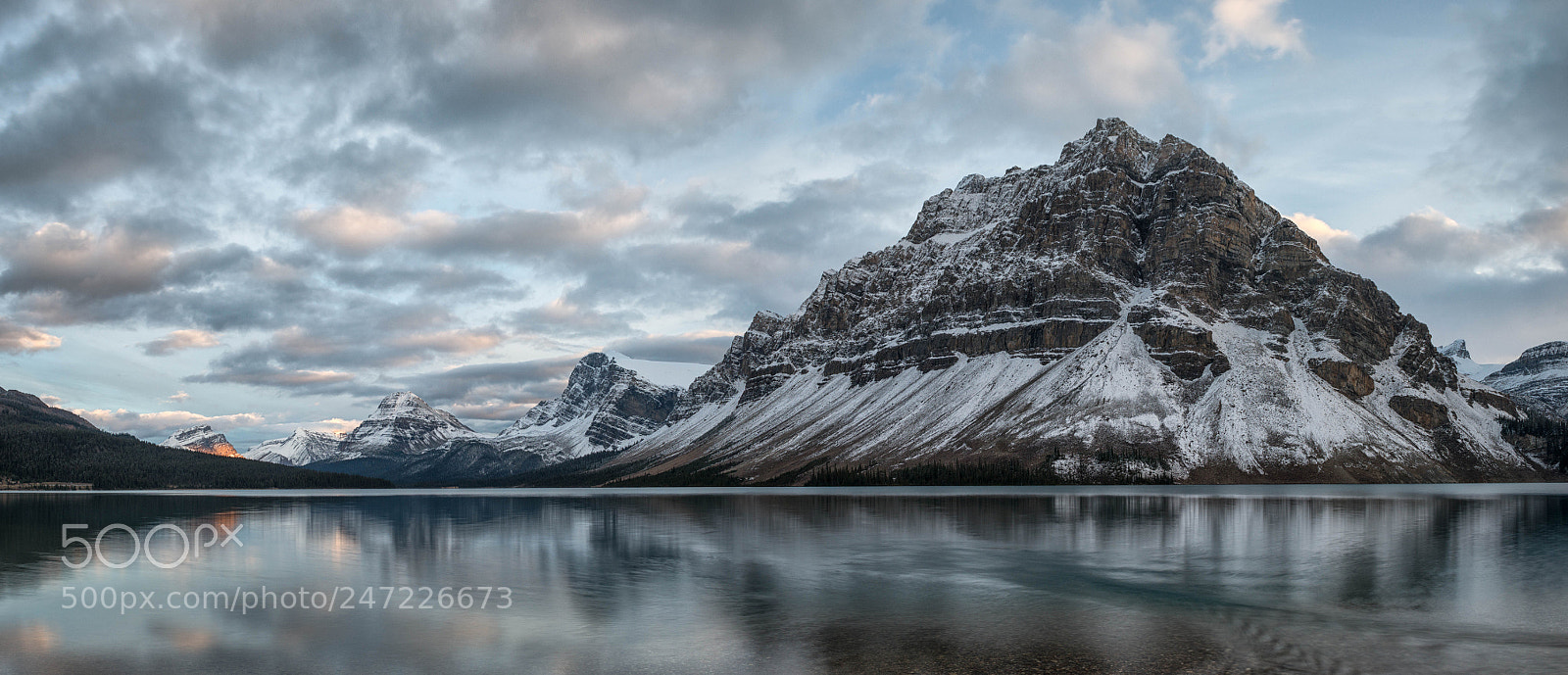 Nikon D800E sample photo. Bow lake, alberta photography