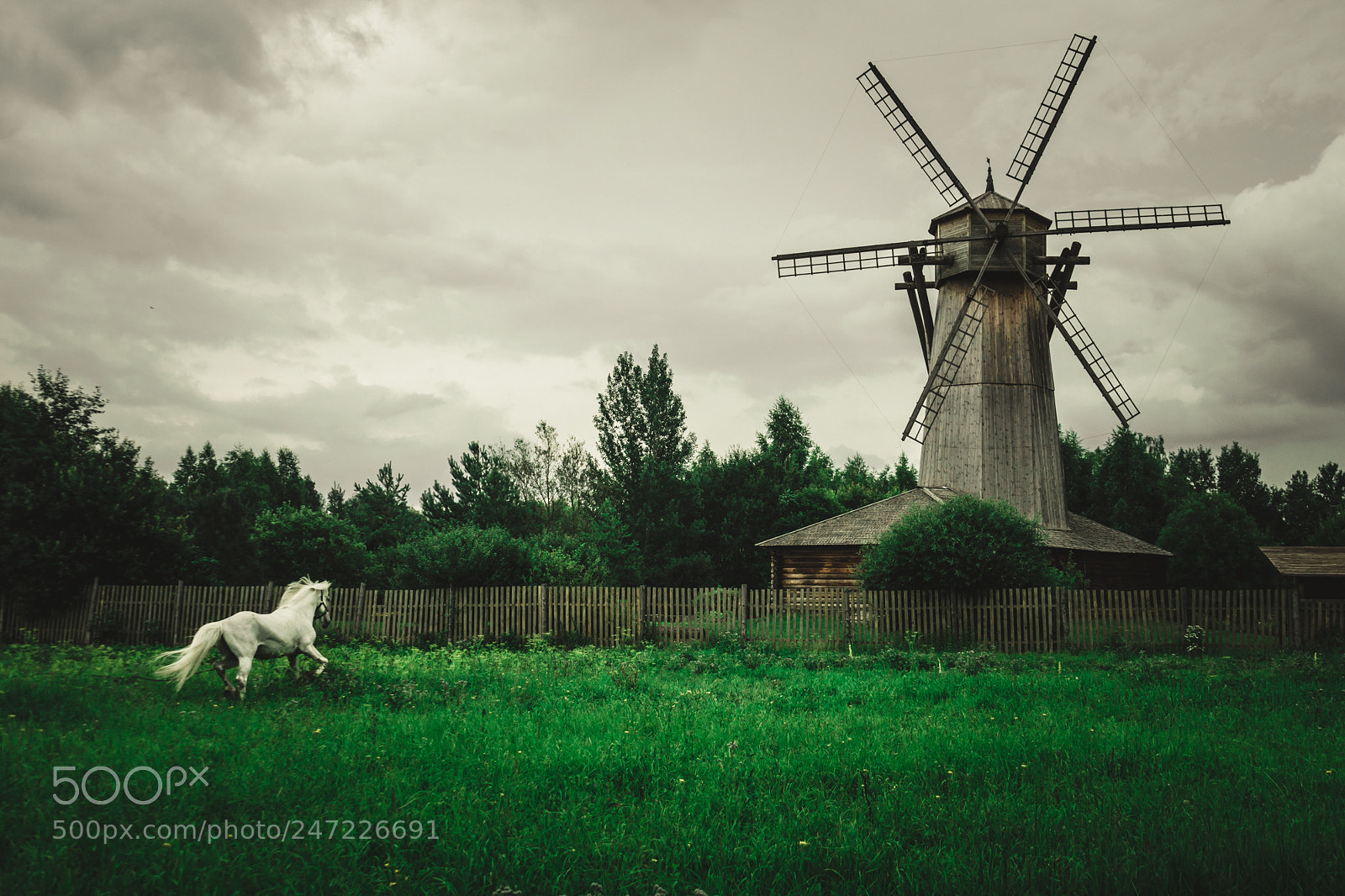 Sony SLT-A65 (SLT-A65V) sample photo. Windmill photography