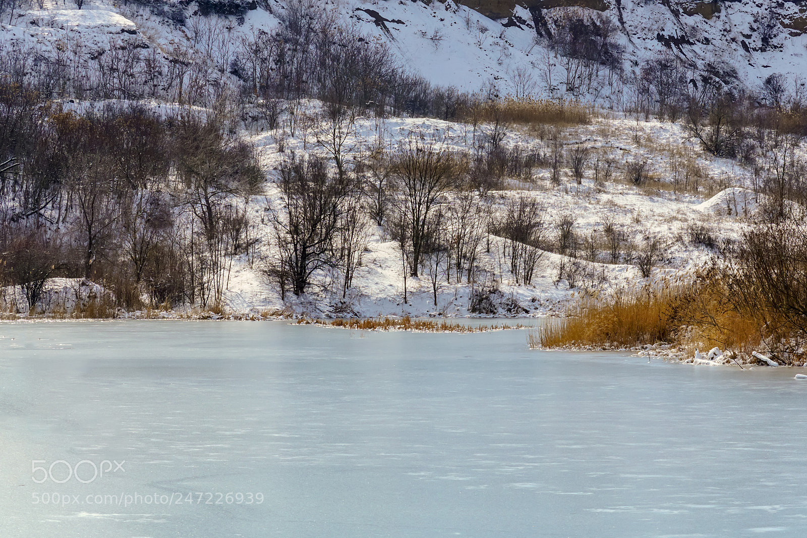 Sony ILCA-77M2 sample photo. On the lake thin photography