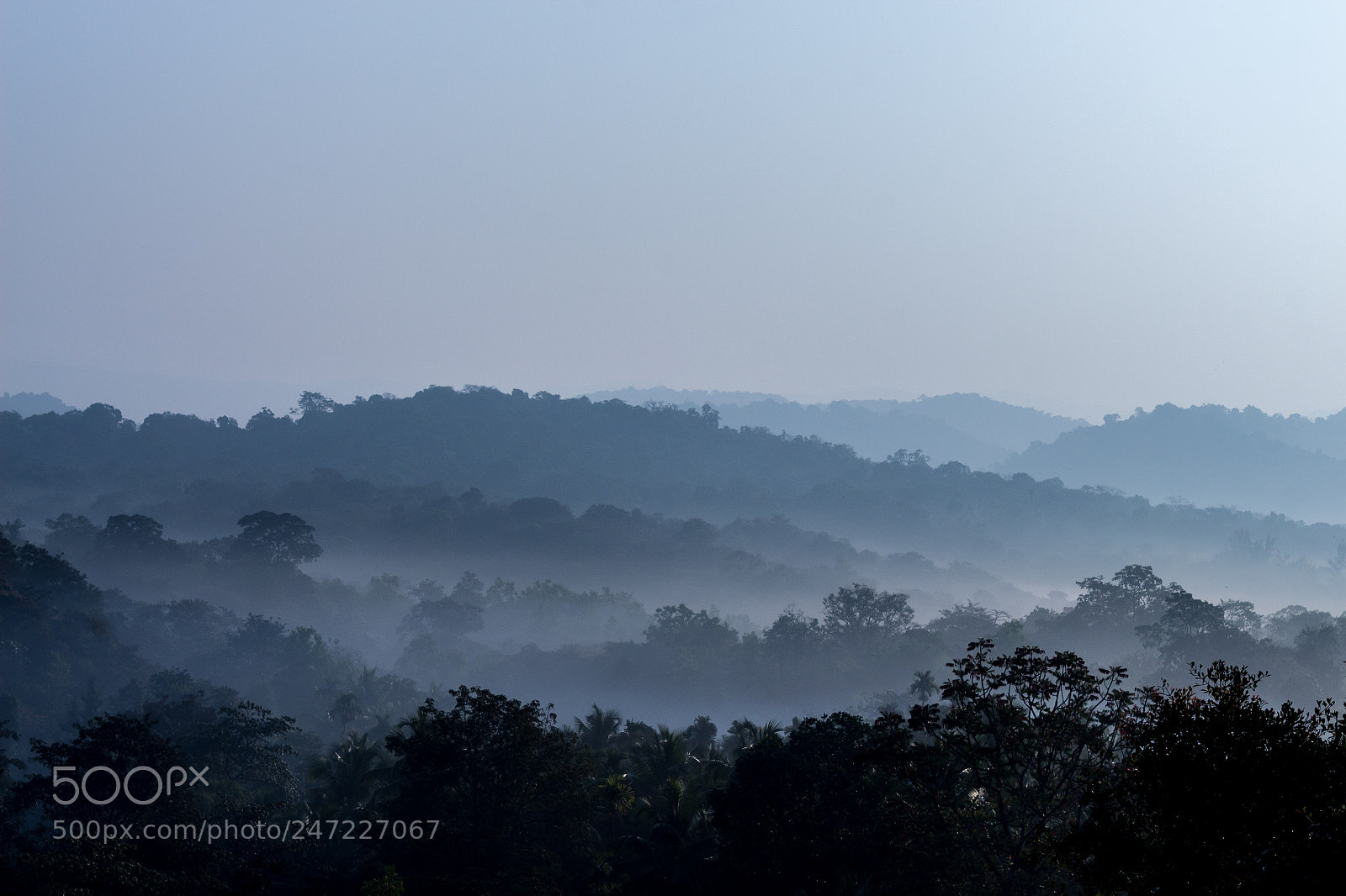 Canon EOS 650D (EOS Rebel T4i / EOS Kiss X6i) sample photo. Blue foggy sunrise seen photography