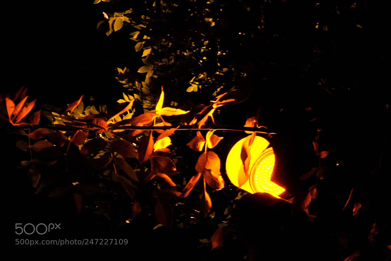 Nikon D40X sample photo. ¡atento! photography