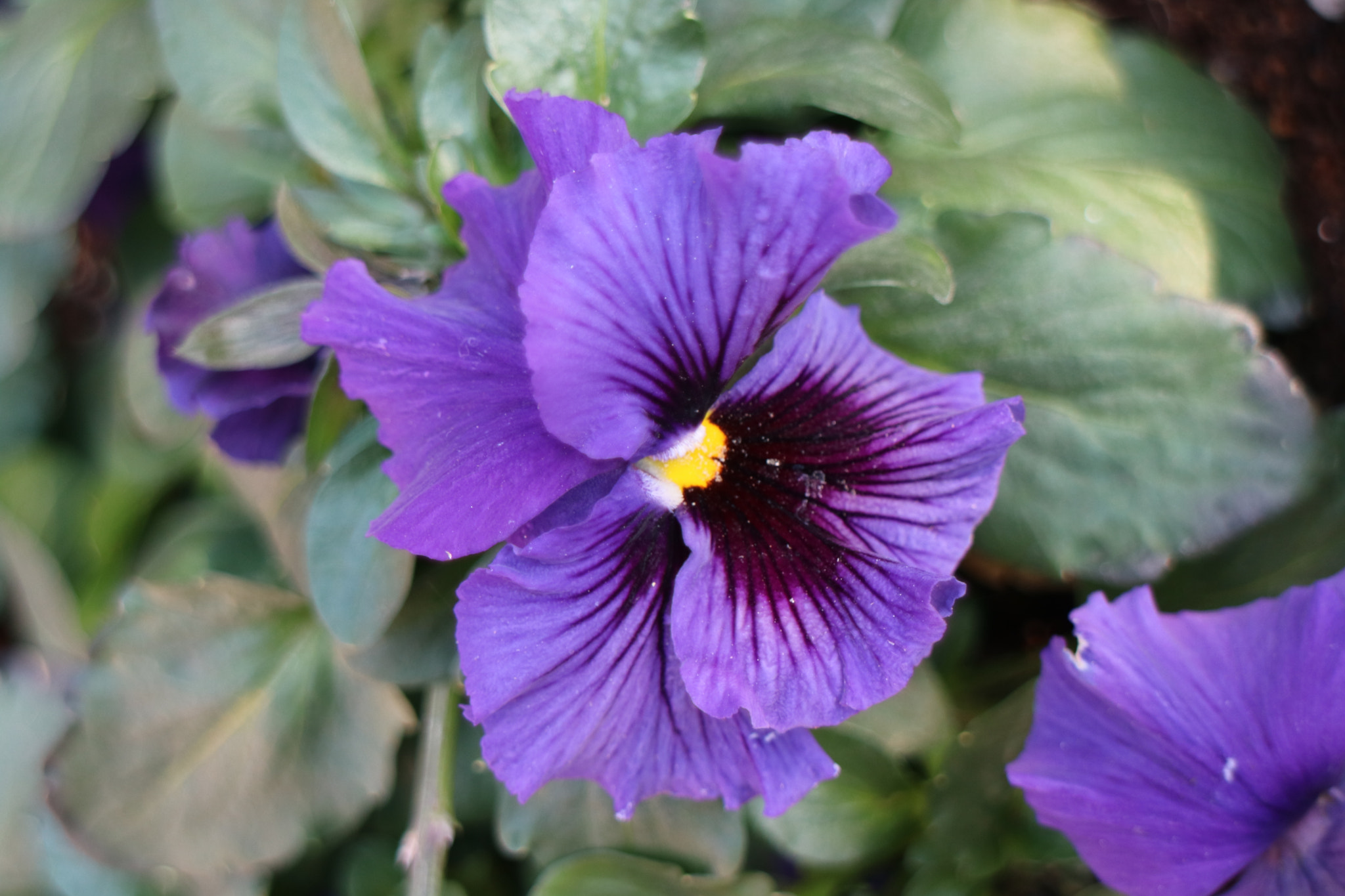 Canon EOS M3 sample photo. Untitled photography