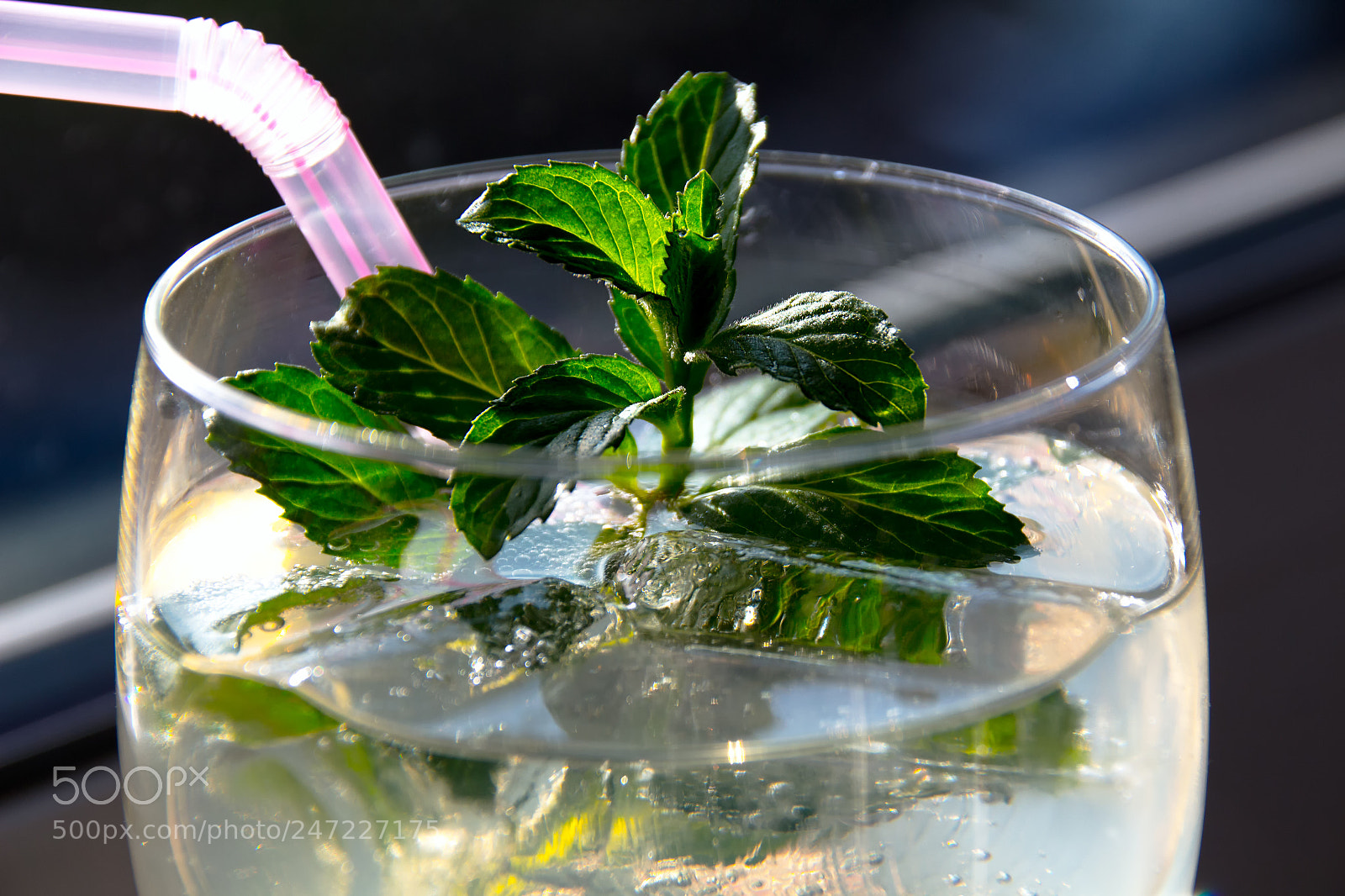 Canon EOS 700D (EOS Rebel T5i / EOS Kiss X7i) sample photo. Prost photography