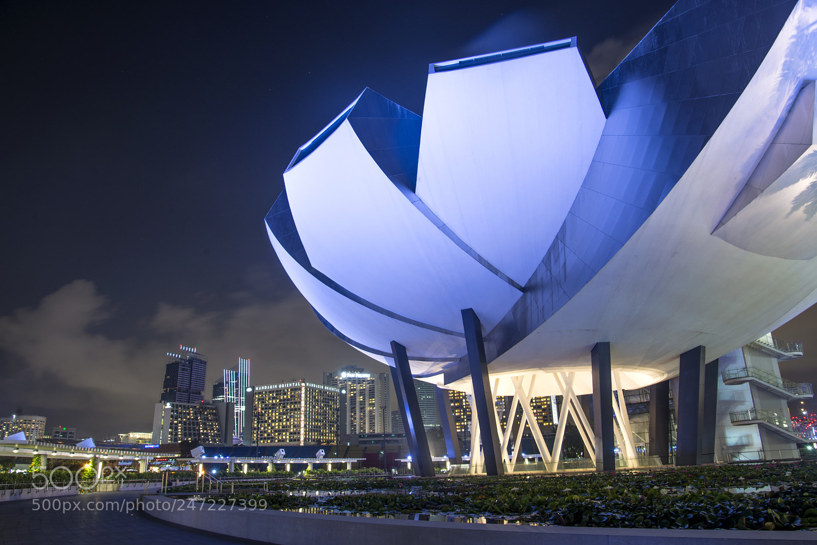 Nikon D600 sample photo. Artscience museum photography