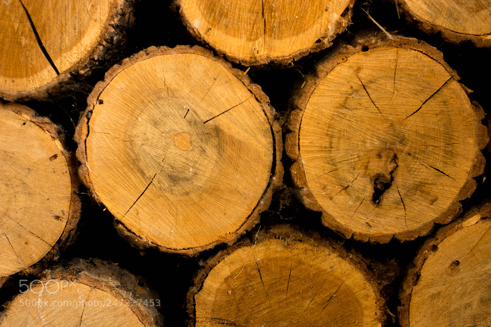 Nikon D7100 sample photo. Wood photography