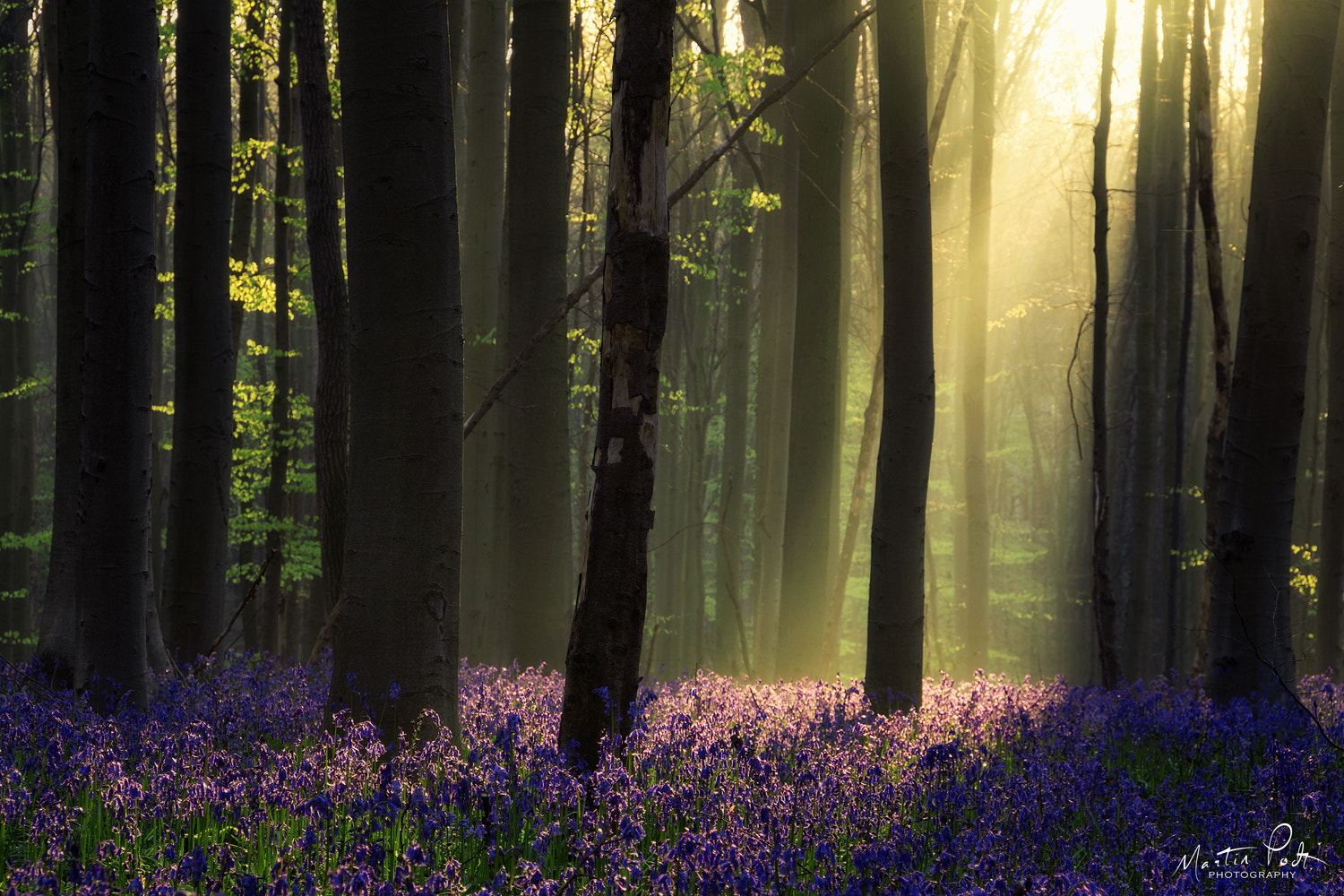What Is Ce >> Martin Podt (martinpodt) Photos / 500px What Is Ce >> Martin Podt (martinpodt) Photos / 500px