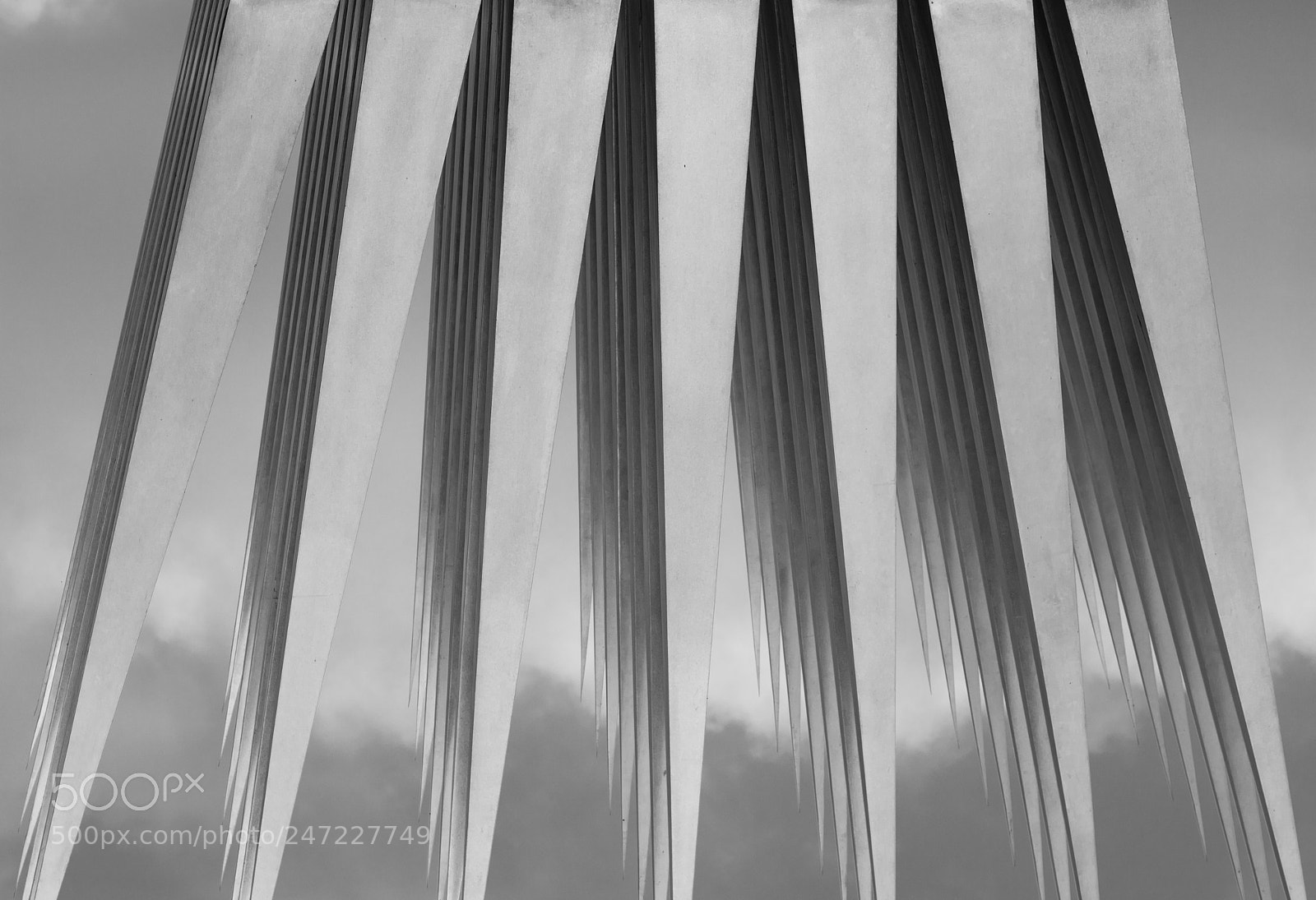 Canon EOS 6D Mark II sample photo. A wolverine photography