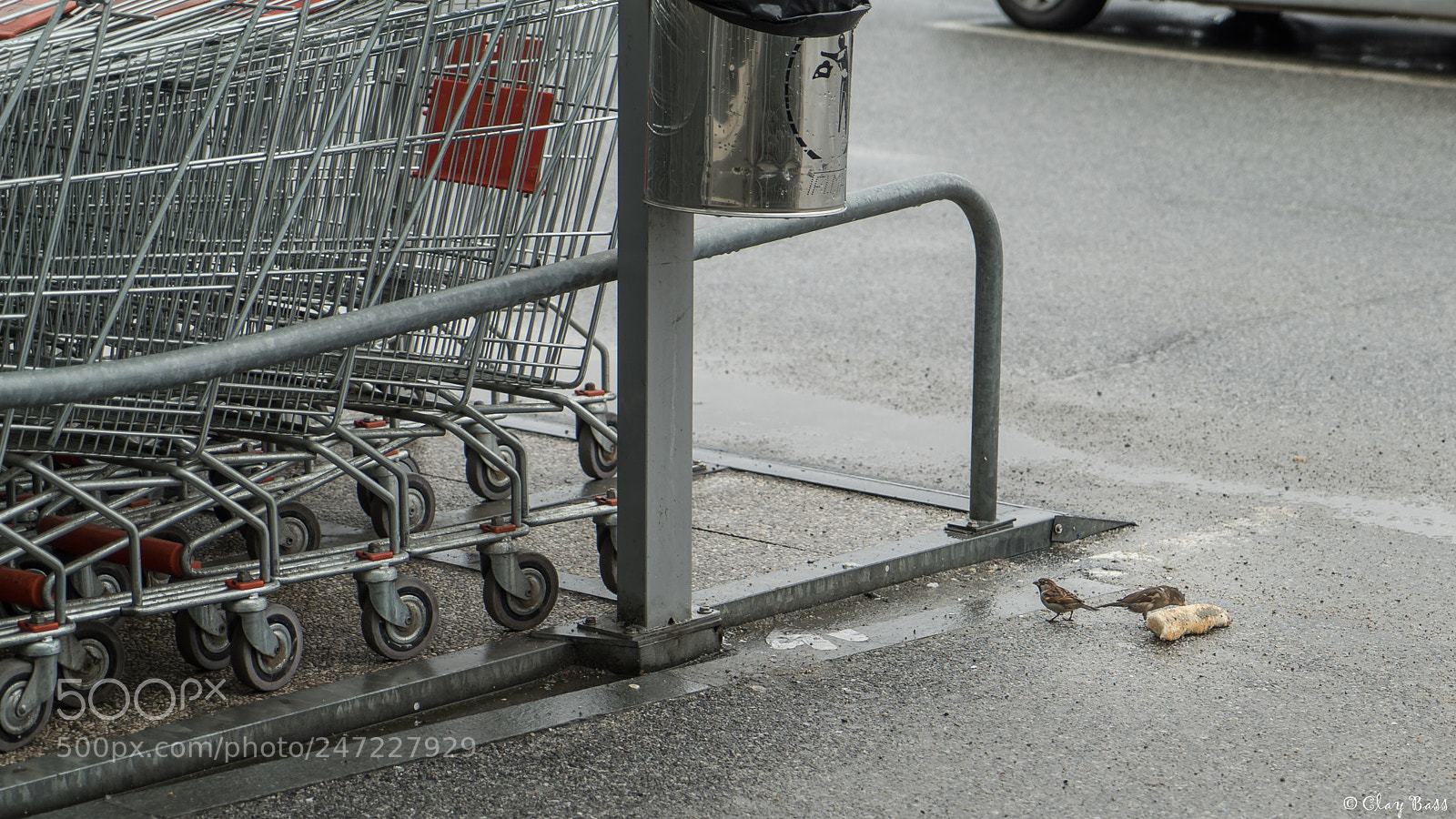 Sony a7S II sample photo. Pranzo al supermercato photography