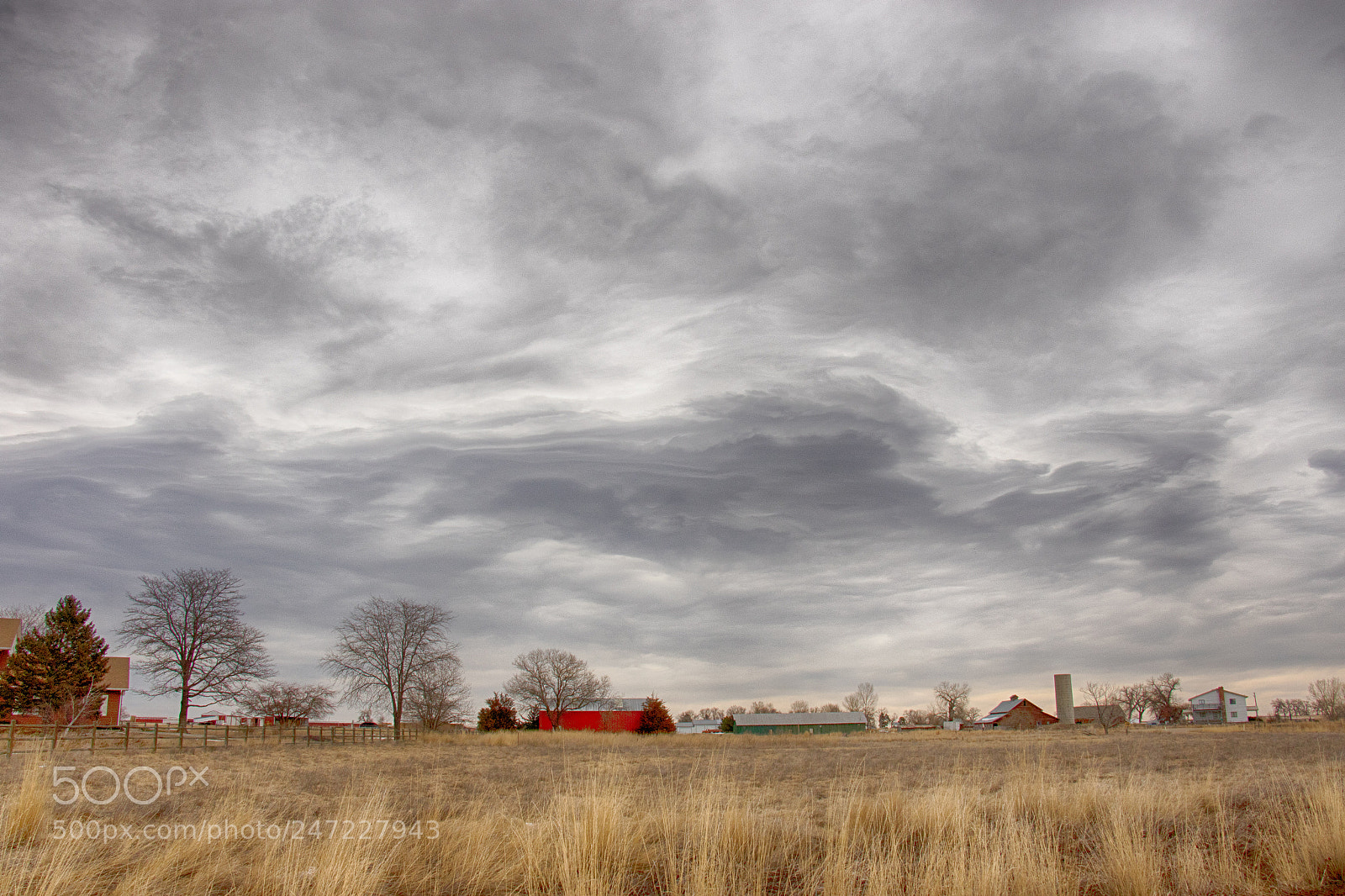 Canon EOS 7D Mark II sample photo. Strange  things ii photography
