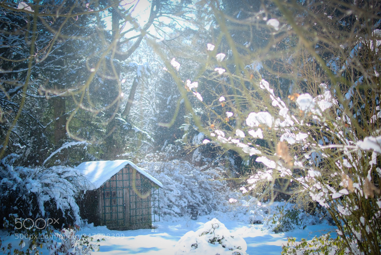 Fujifilm FinePix S5 Pro sample photo. Sunny winter day photography