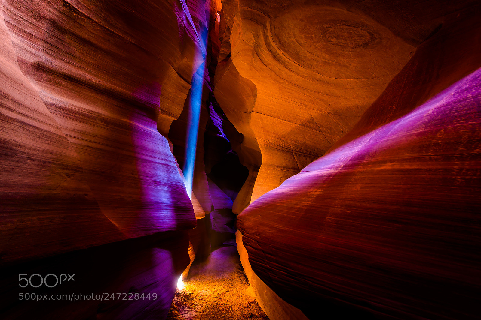 Nikon D610 sample photo. A light from above photography