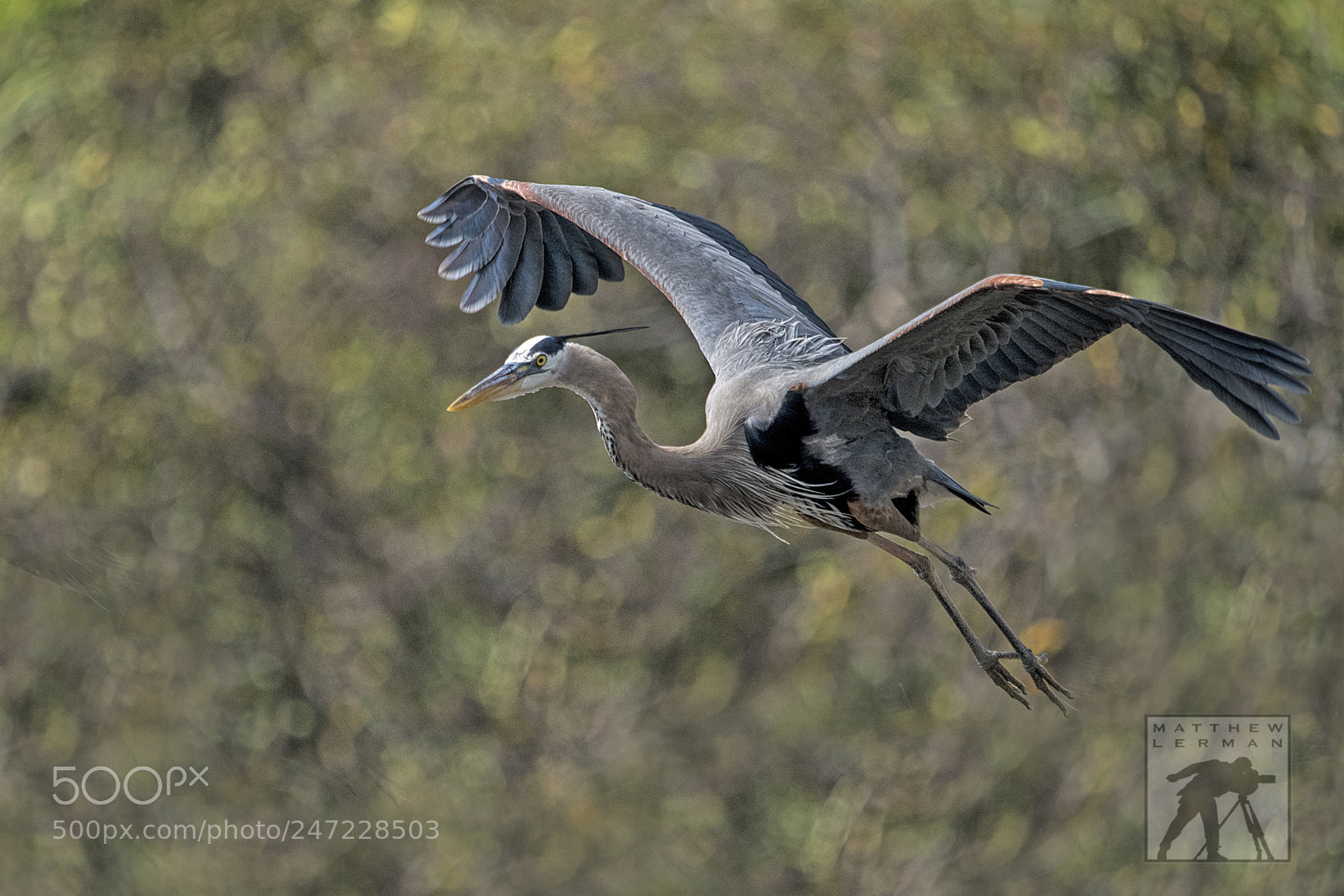 Nikon D810 sample photo. Airborne photography