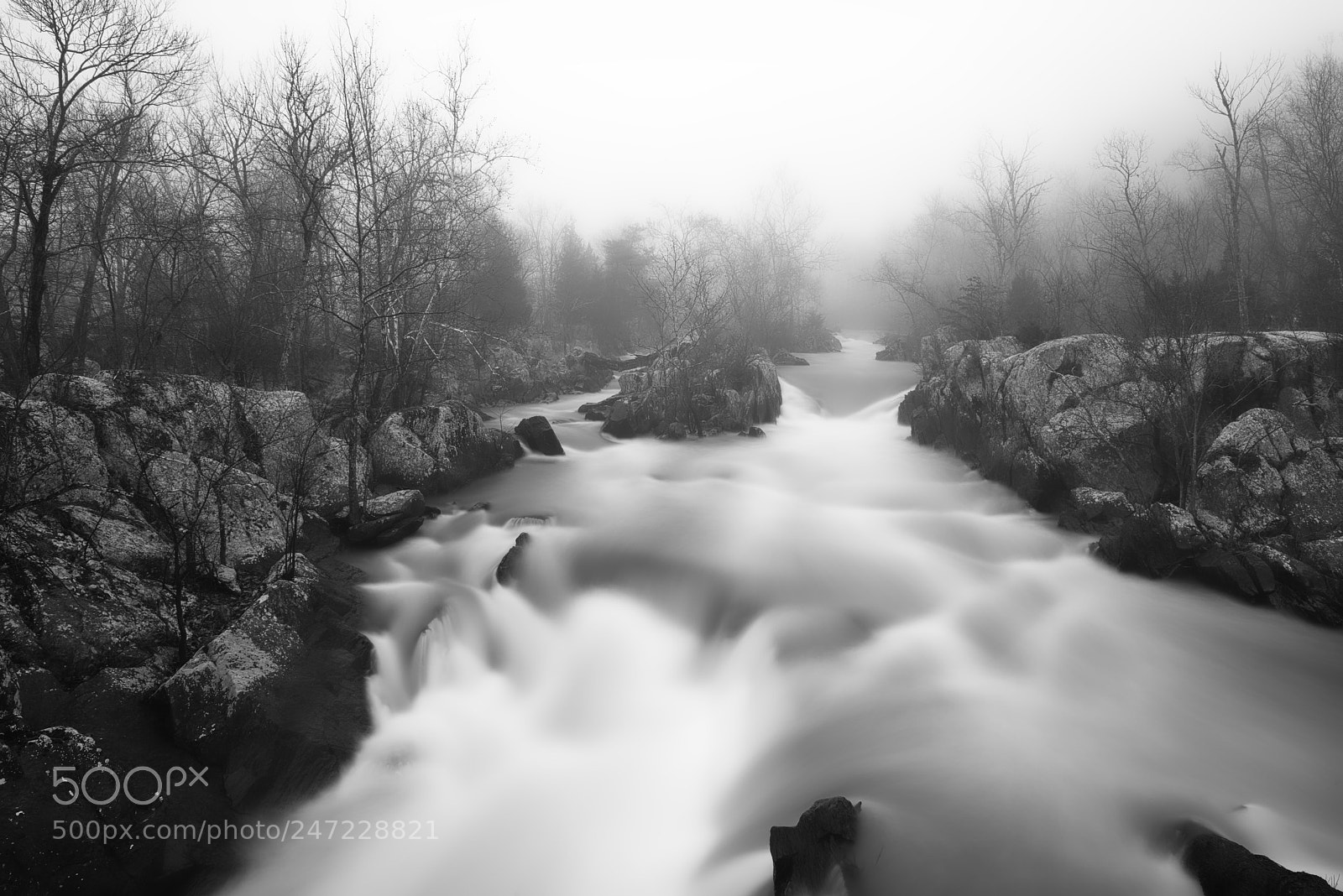 Nikon D800 sample photo. Foggy morning photography