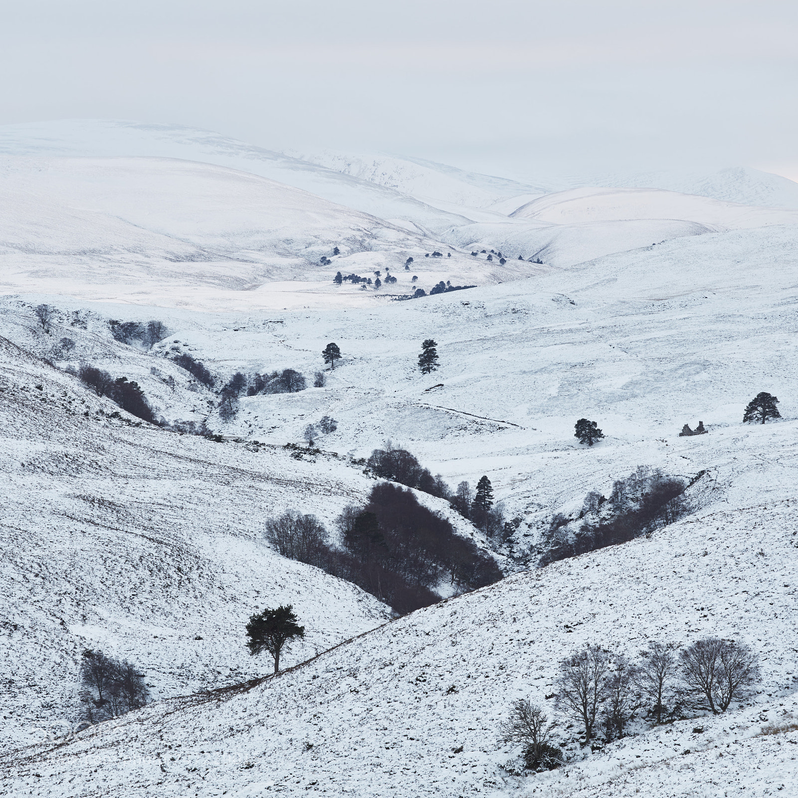 Canon EOS 5DS R sample photo. Winter patina photography
