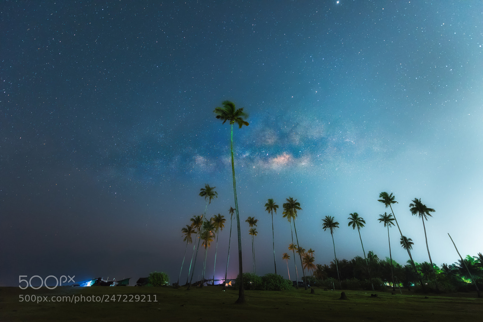 Nikon D810 sample photo. Milky way photography