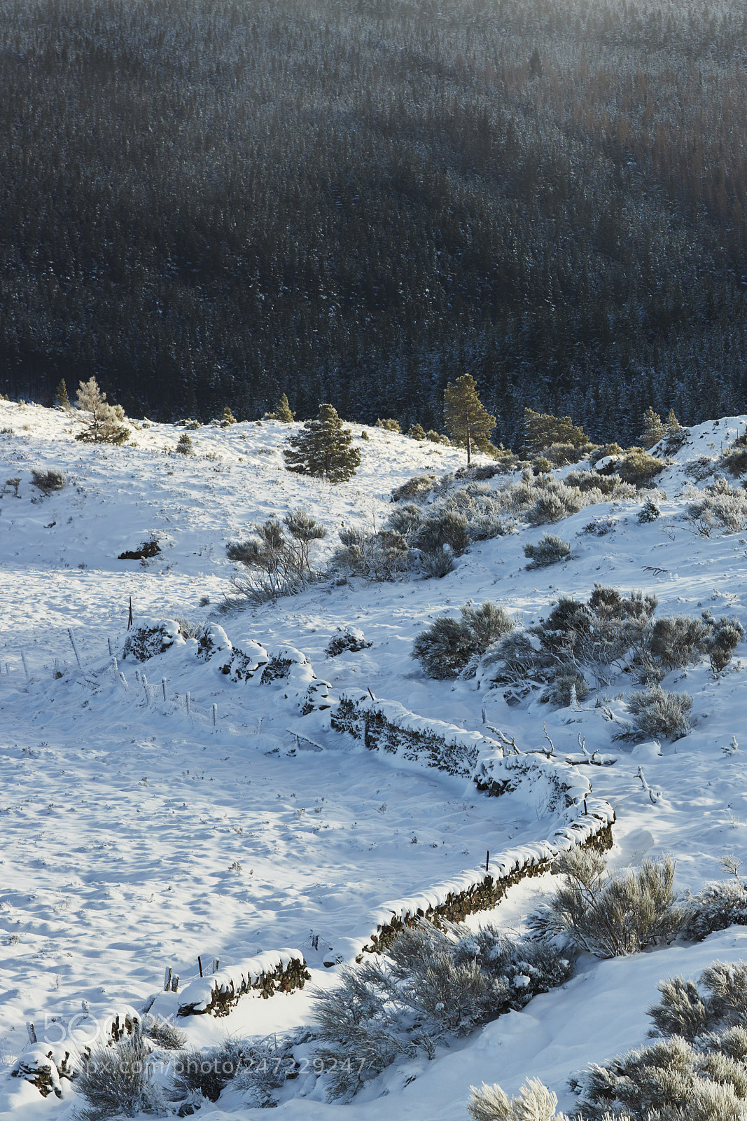 Canon EOS 5DS R sample photo. High pasture photography