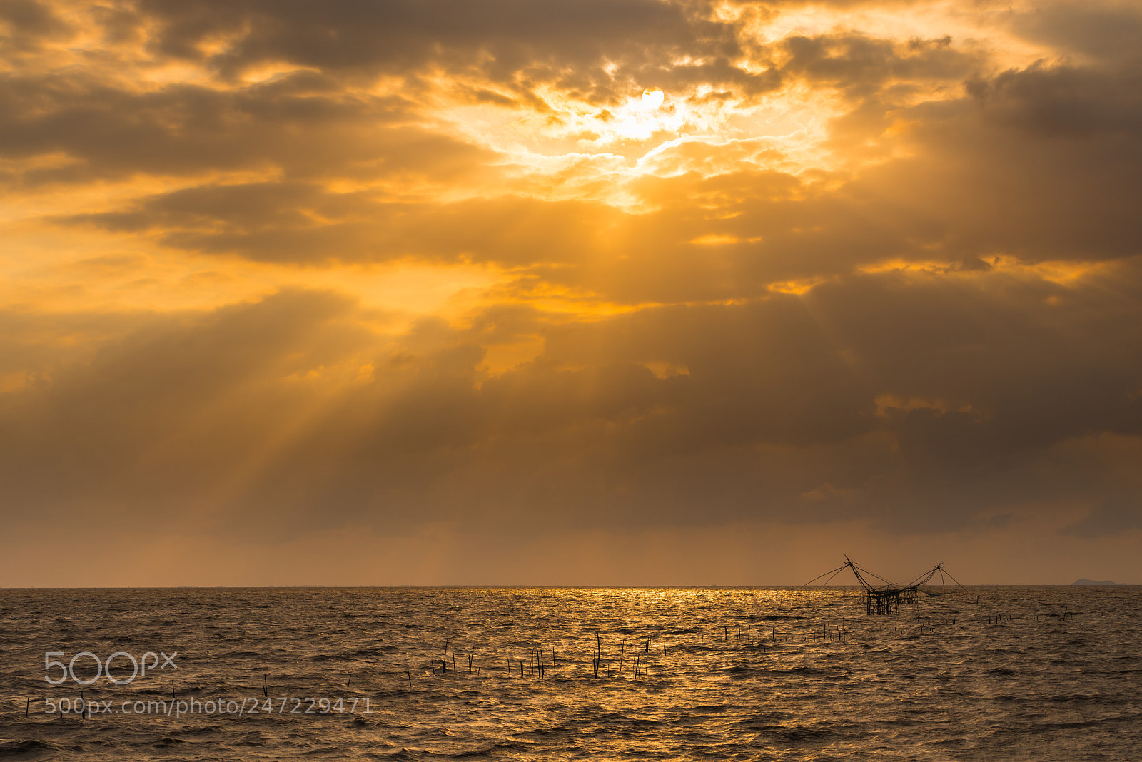 Nikon D810 sample photo. Golden sky with square photography