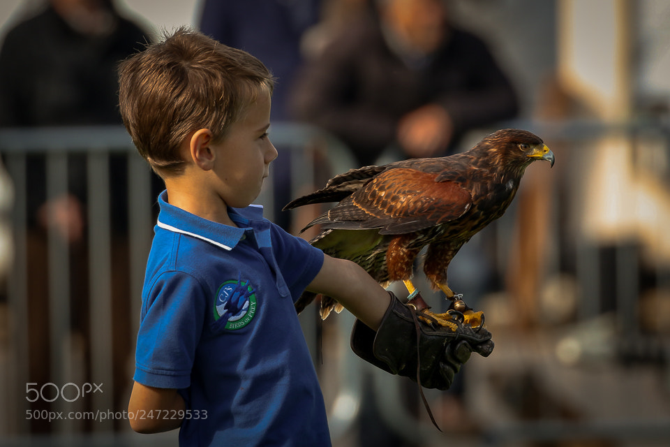 Canon EOS 7D Mark II sample photo. Little boy with bird photography