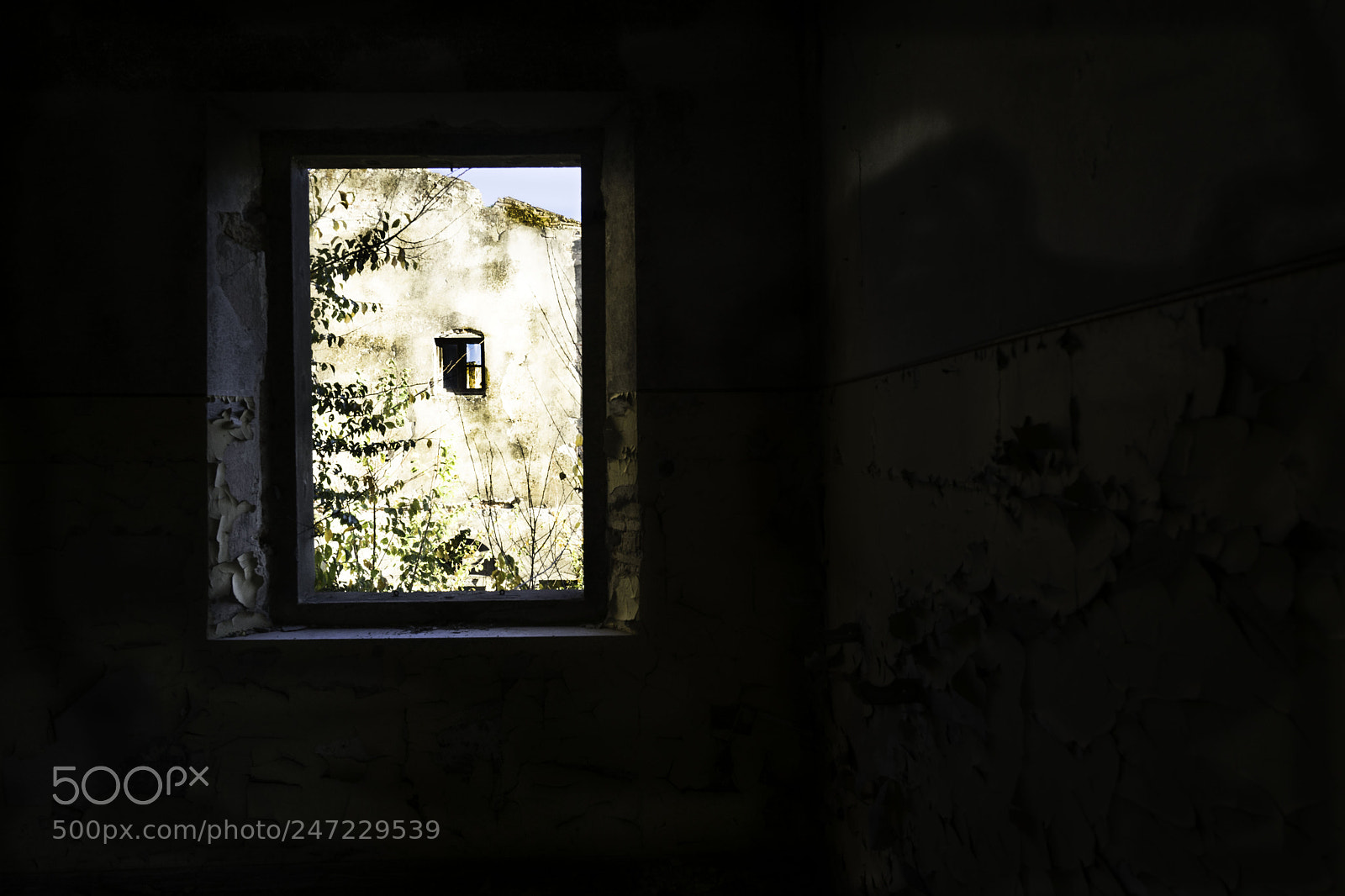 Sony a7 II sample photo. Cascine finestre photography