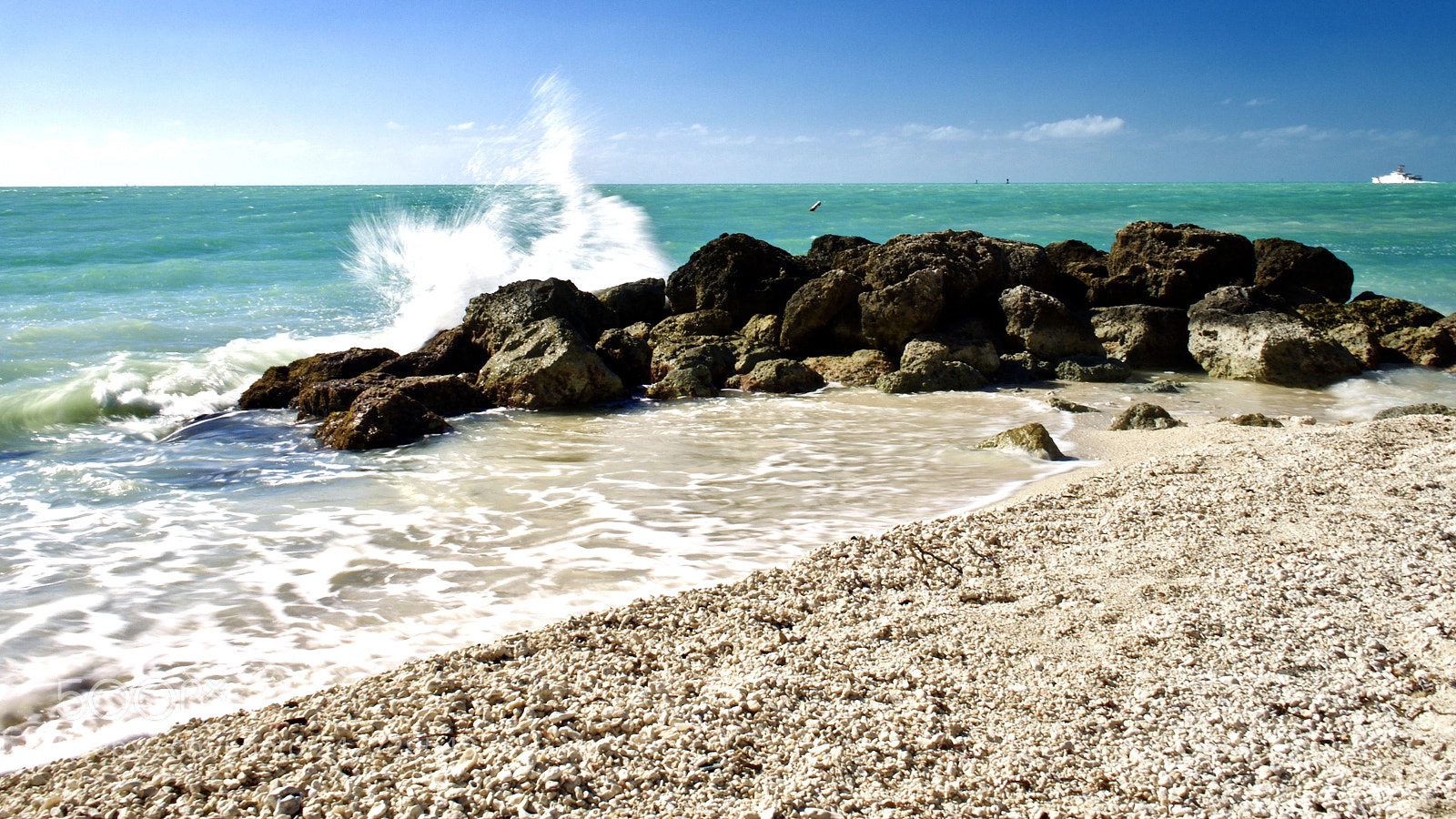 Olympus OM-D E-M1 Mark II sample photo. Key west photography