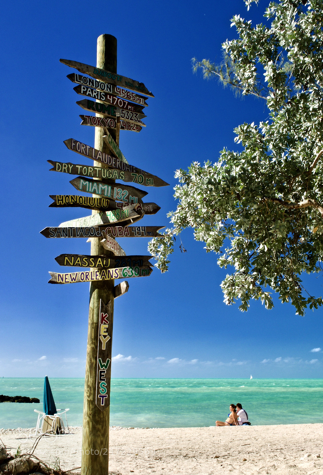 Olympus OM-D E-M1 Mark II sample photo. Key west photography