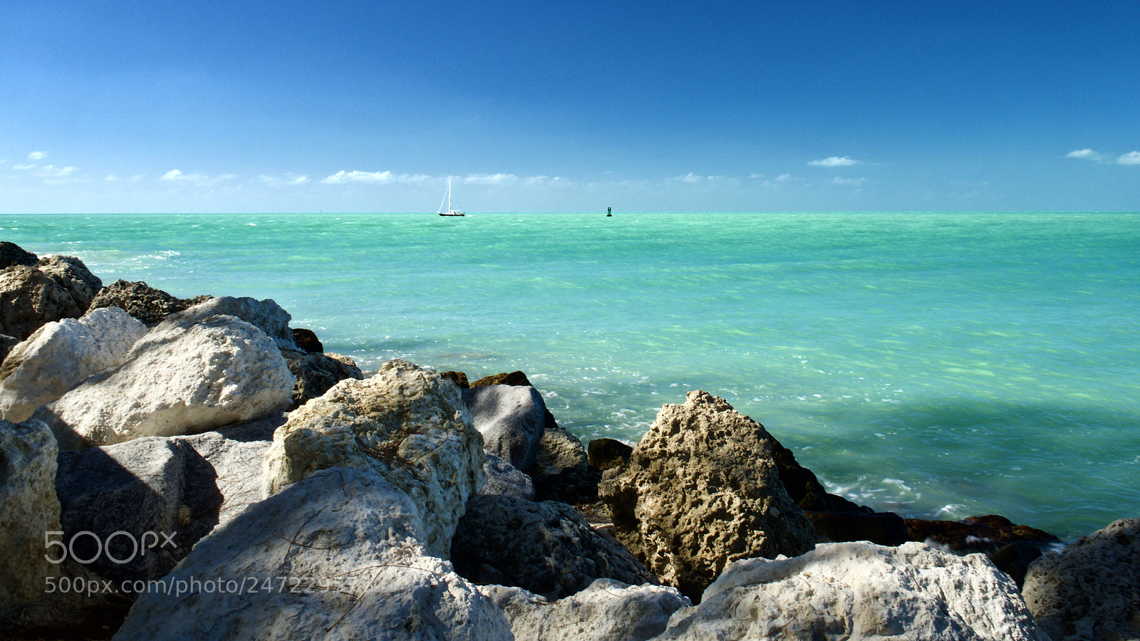 Olympus OM-D E-M1 Mark II sample photo. Key west photography