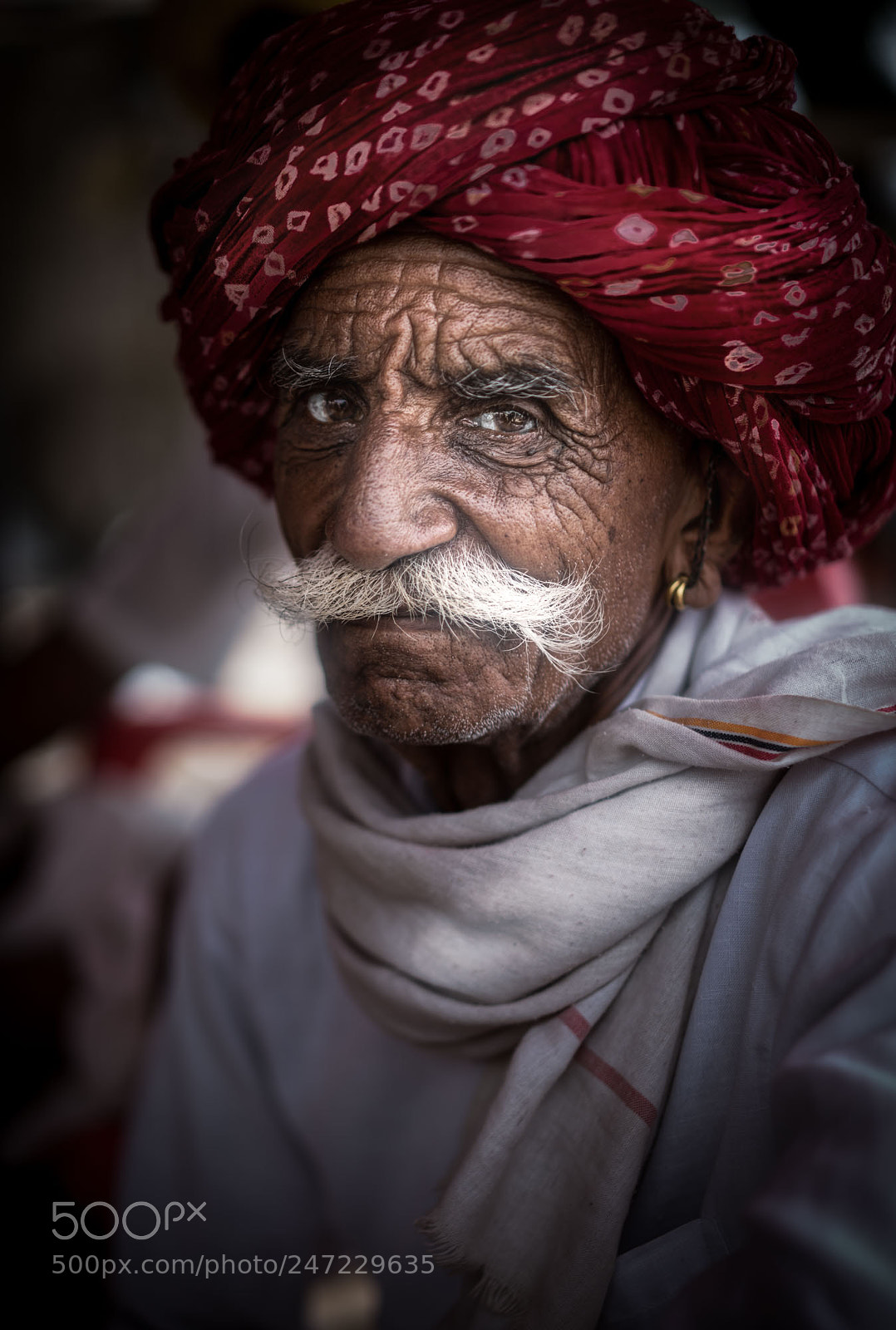 Sony a9 sample photo. Rajasthani photography